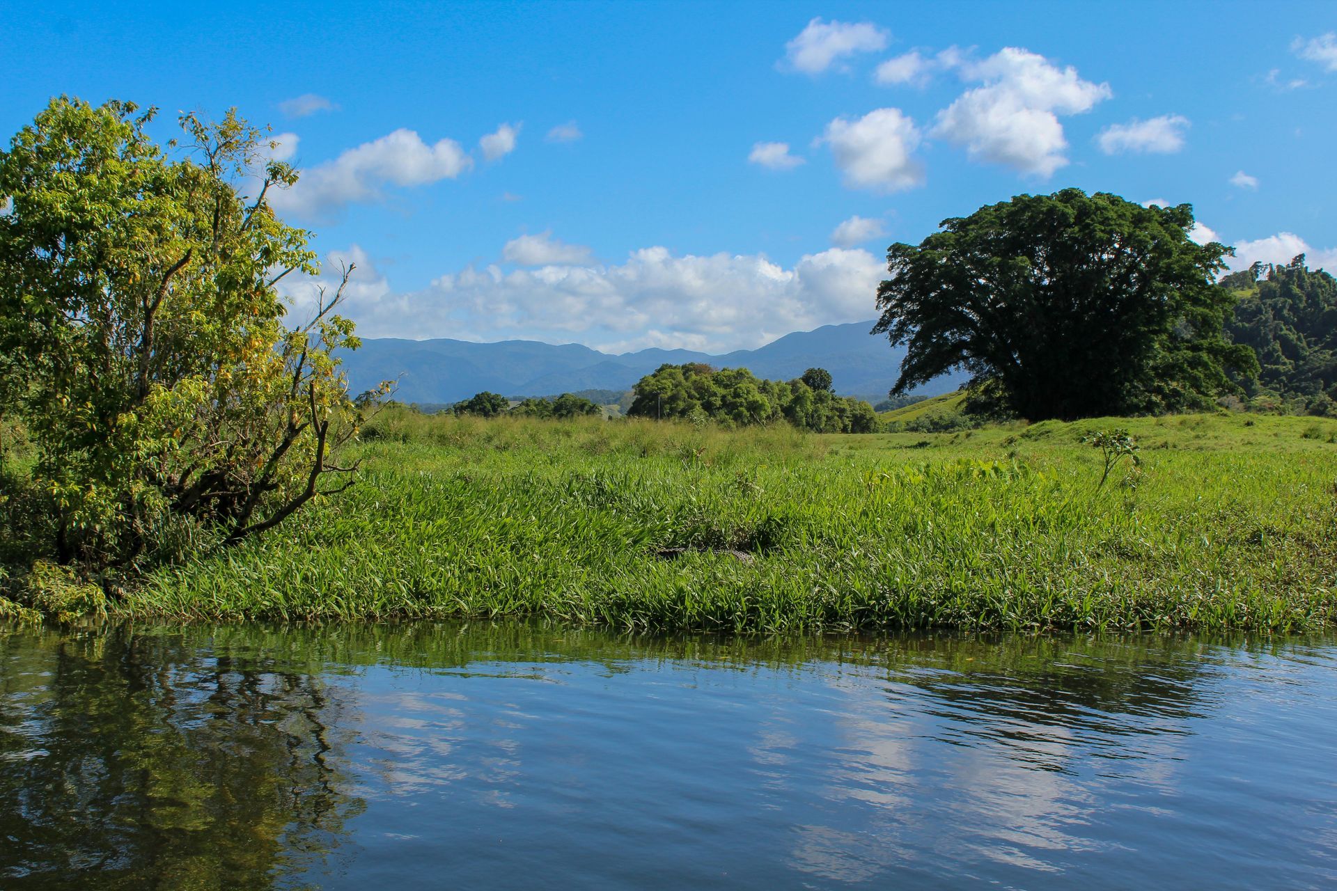 A river runs through a grassy field with trees and mountains in the background in the Daintree Rainforest, Australia.