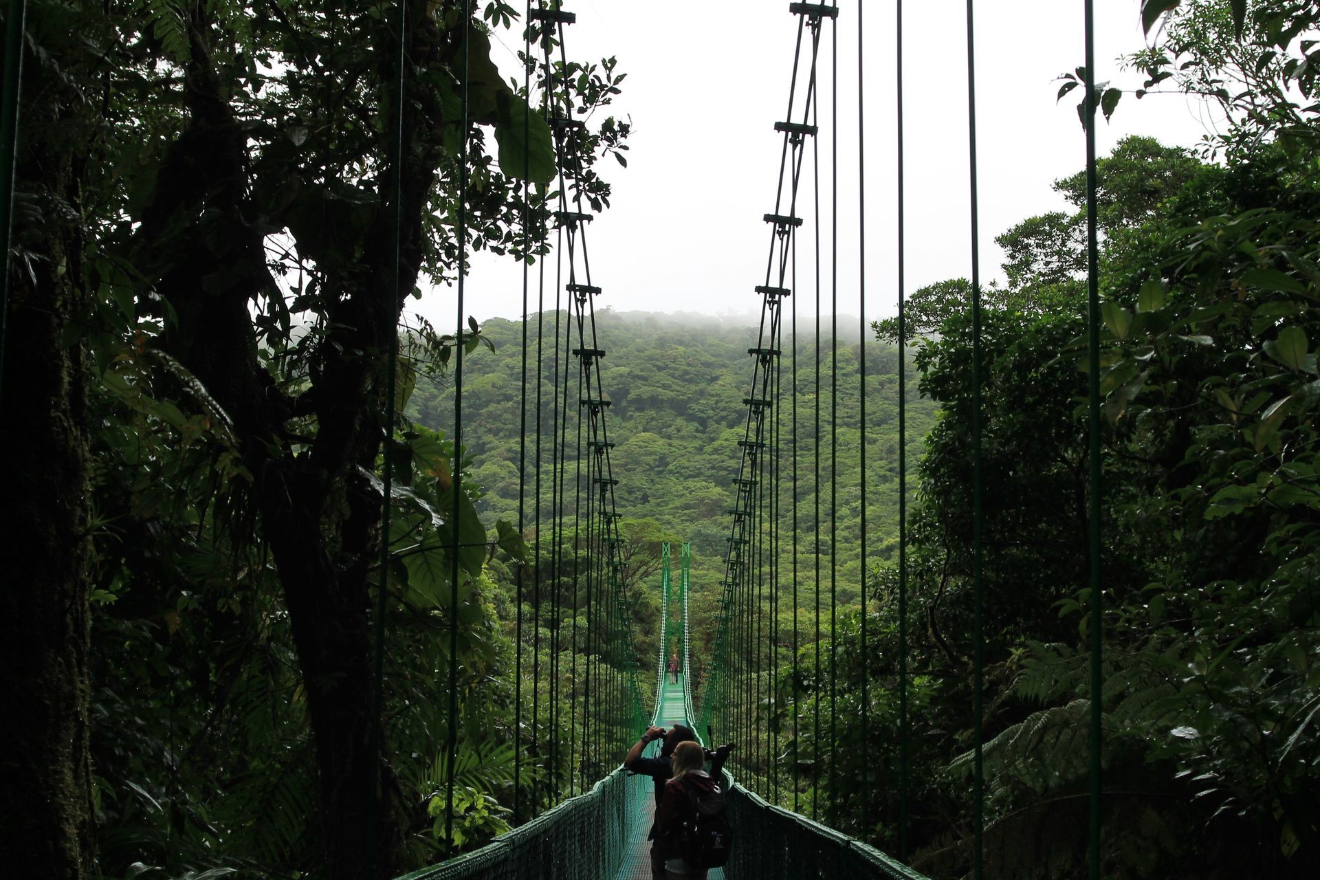 People walking on a suspension bridge high in a lush, green rainforest. The bridge spans a dense canopy under a cloudy sky in the Monteverde Cloud Forest, Costa Rica.