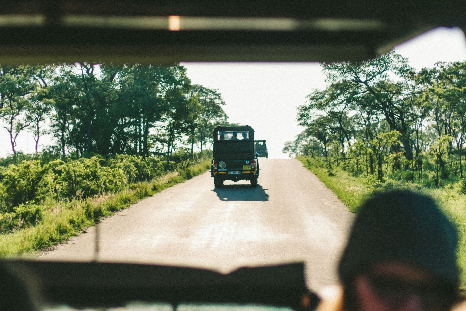 View from inside a vehicle, following another truck on a rural road in Kruger National Park, South Africa.
