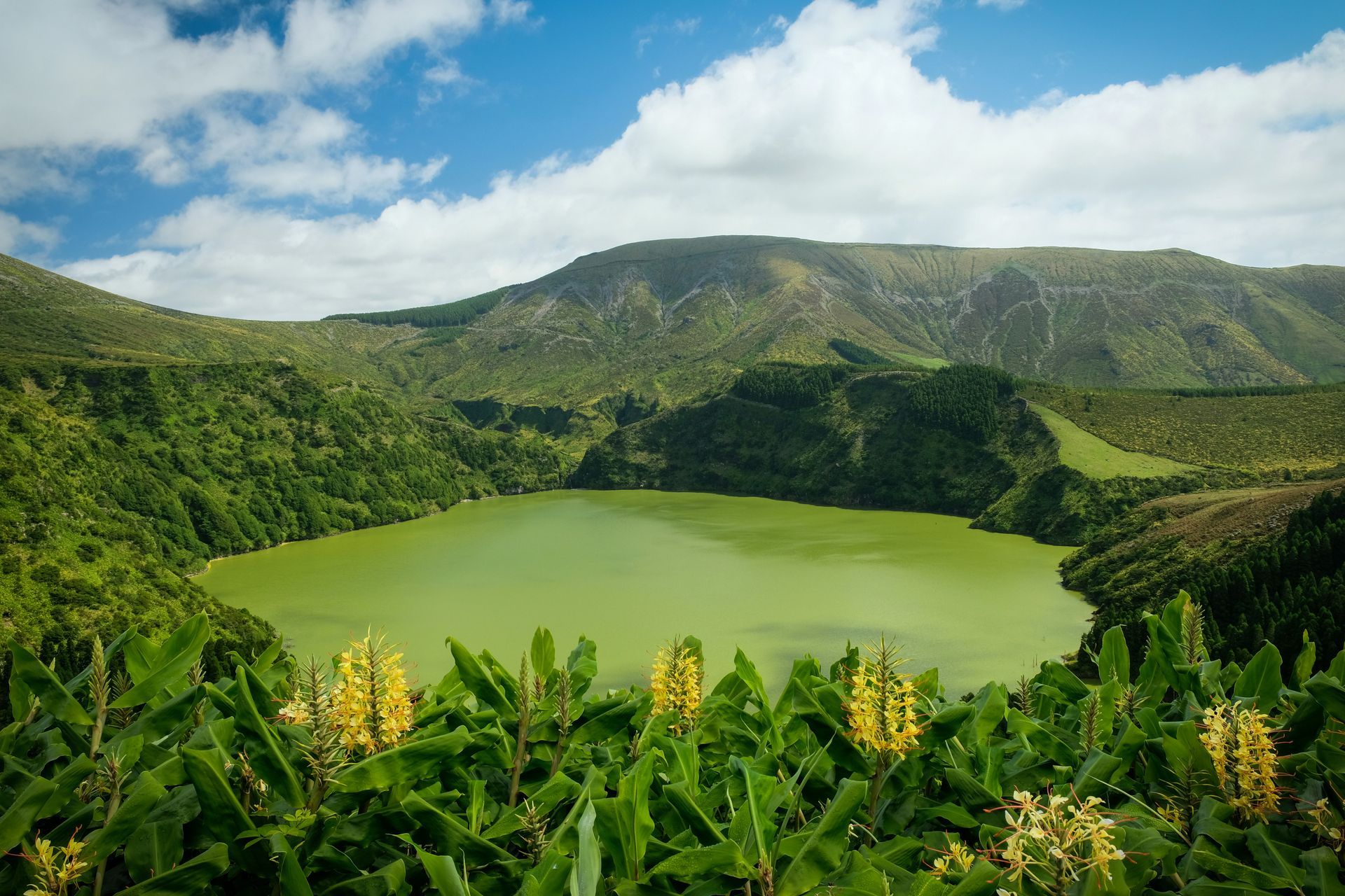 Green lake in a volcanic crater surrounded by lush green vegetation and rolling hills on the island of Azores, Portugal.