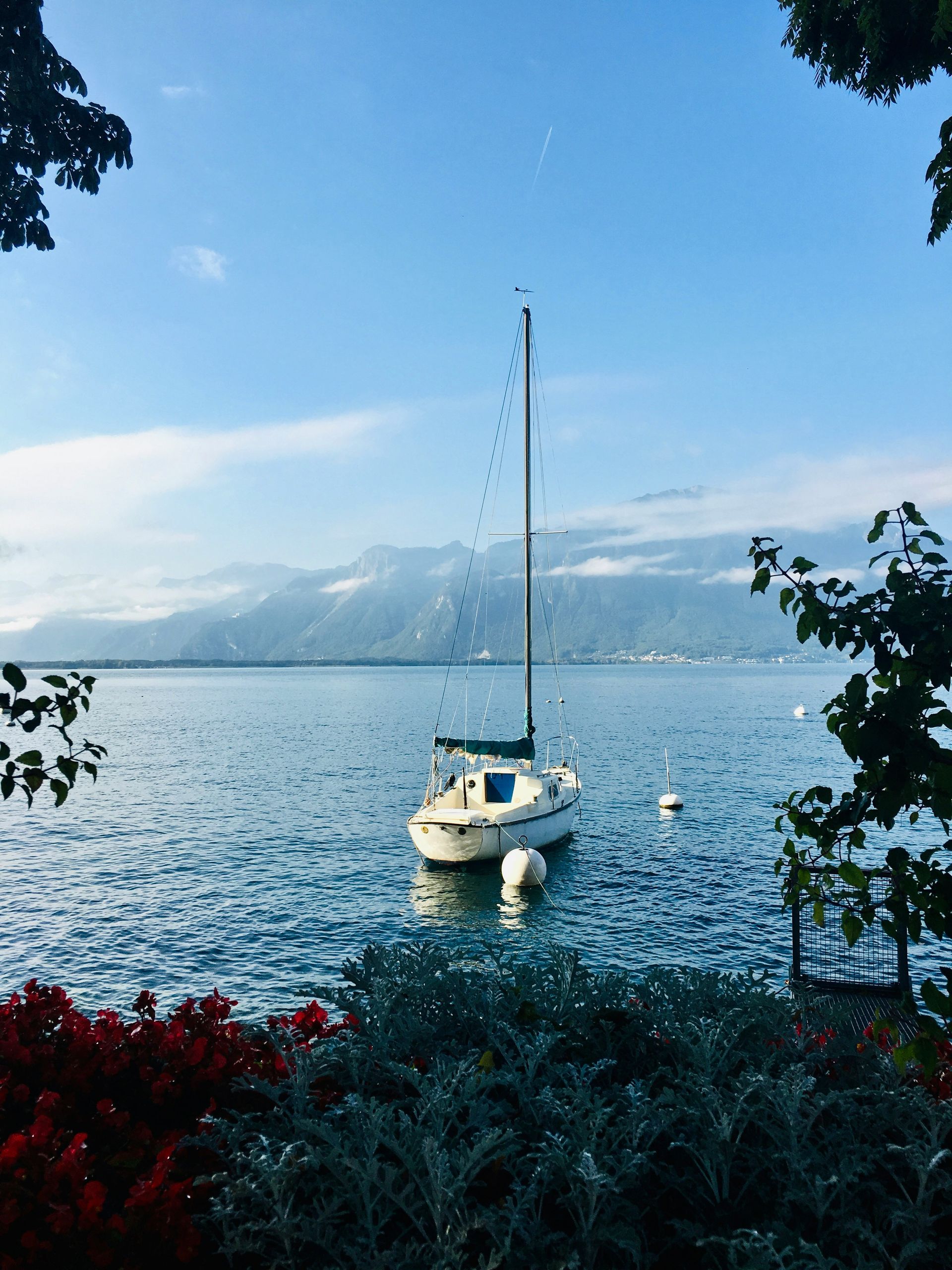 Sailboat on calm lake with mountains in the distance, framed by trees and flowers in Montreux, Switzerland.