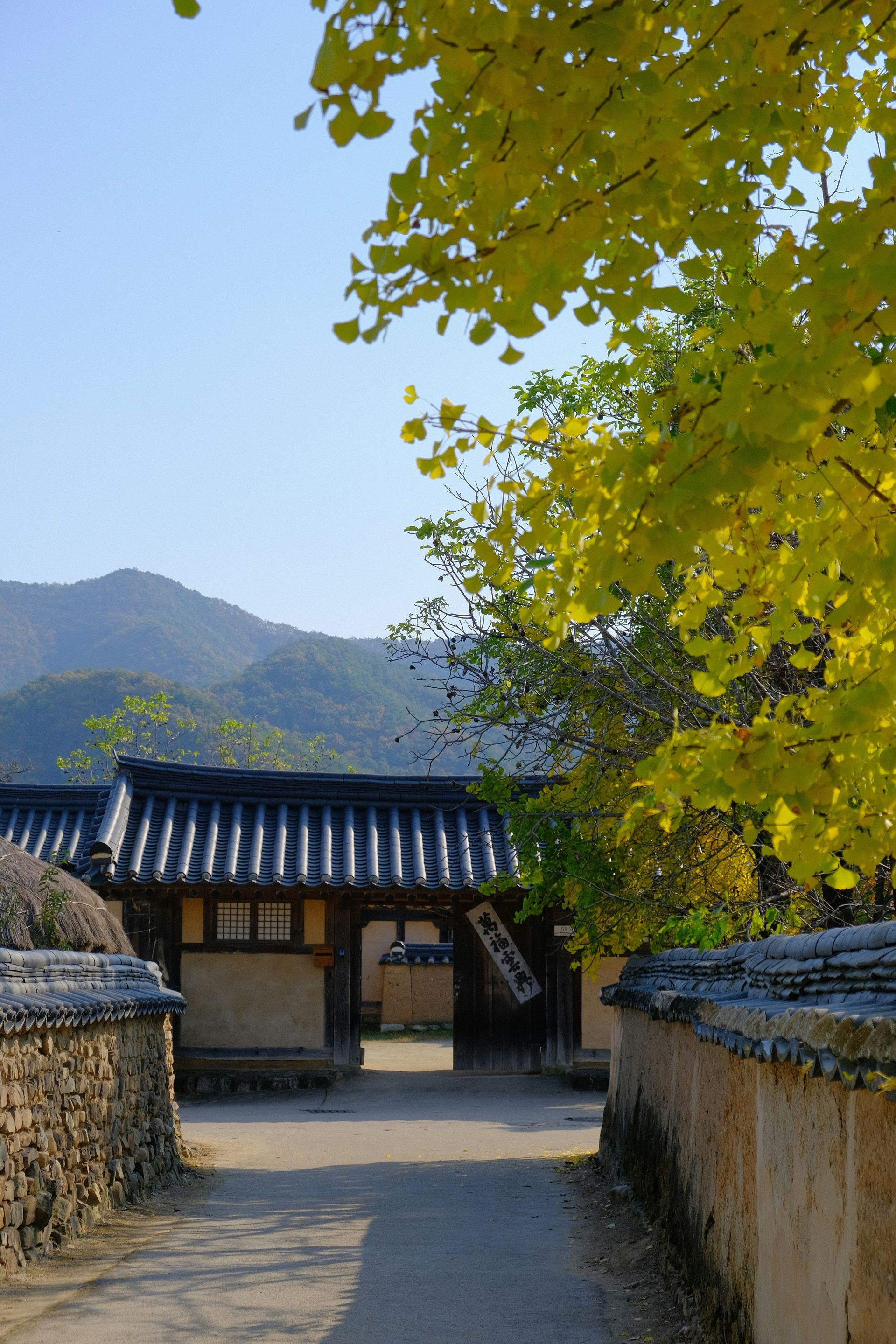 Stone path leads to a traditional Korean gate framed by yellow autumn foliage in Andong Hahoe, South Korea.
