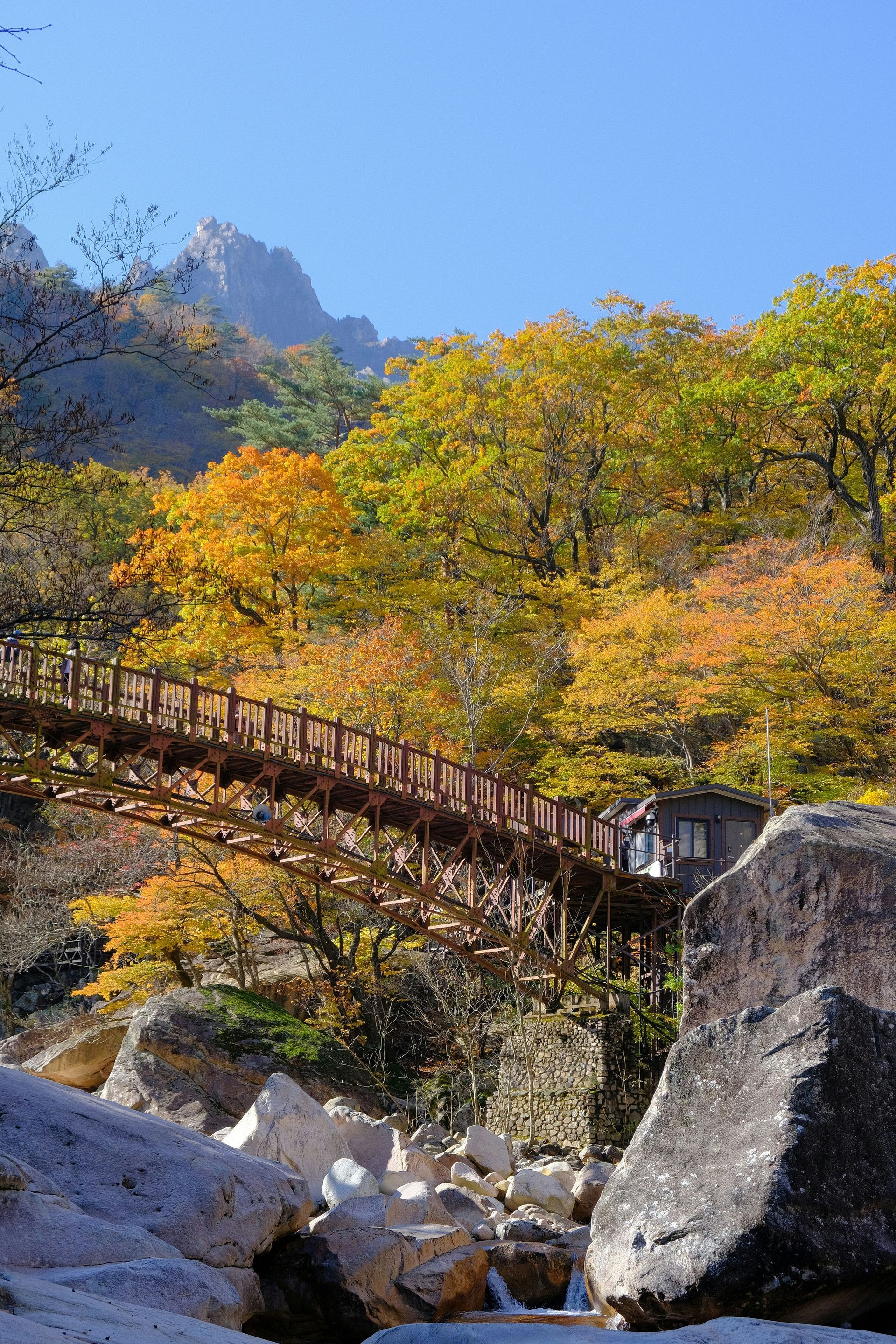 A wooden bridge over a rocky river in a forest with fall foliage in Seoraksan National Park, South Korea.