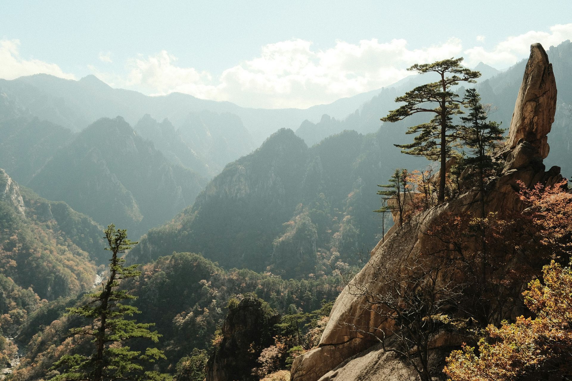 Mountainous landscape with trees and rock formations in Seoraksan National Park, South Korea.