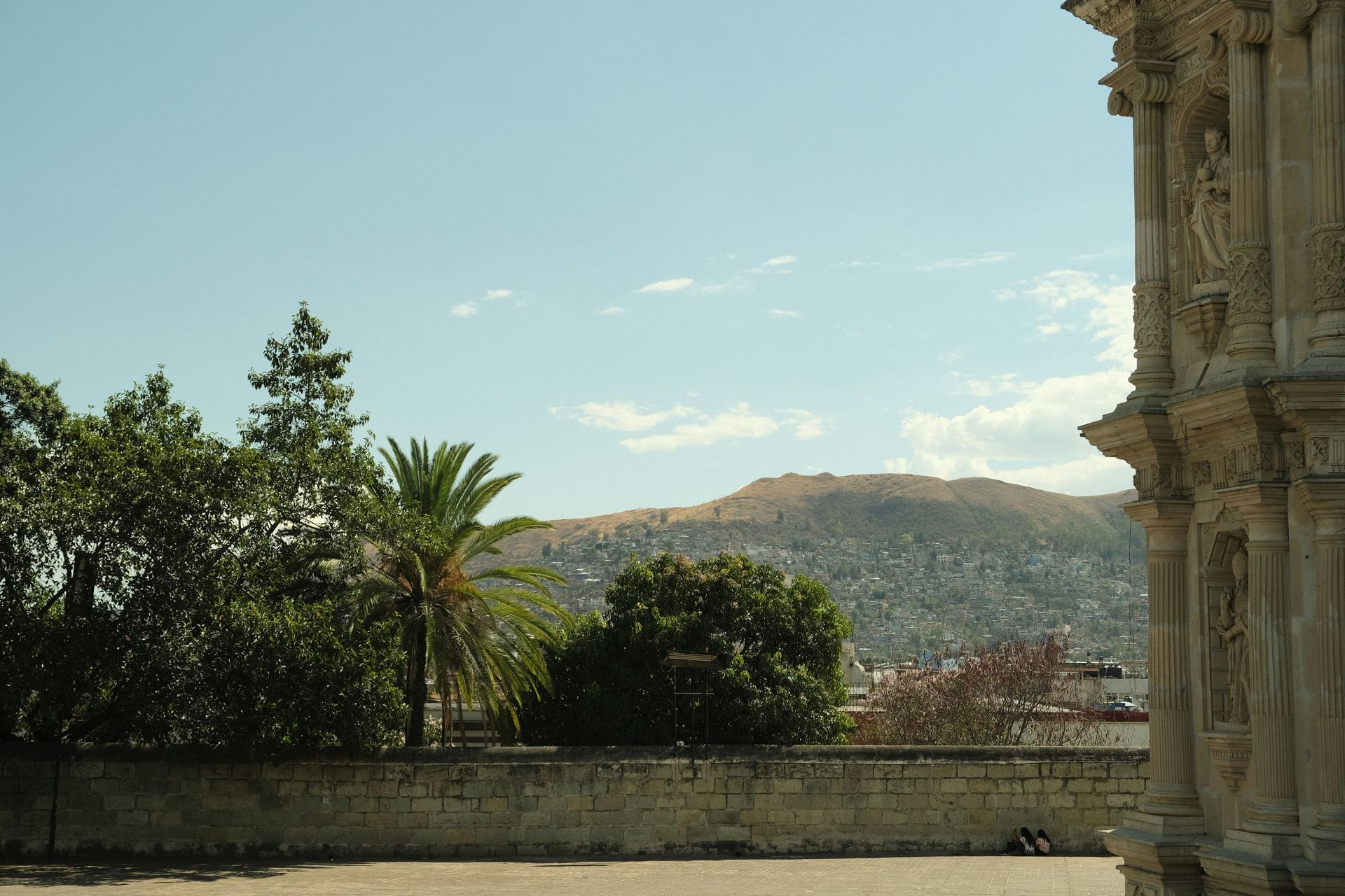 View from a building terrace towards a hillside covered in trees, under a blue sky with some clouds in Oaxaca, Mexico.
