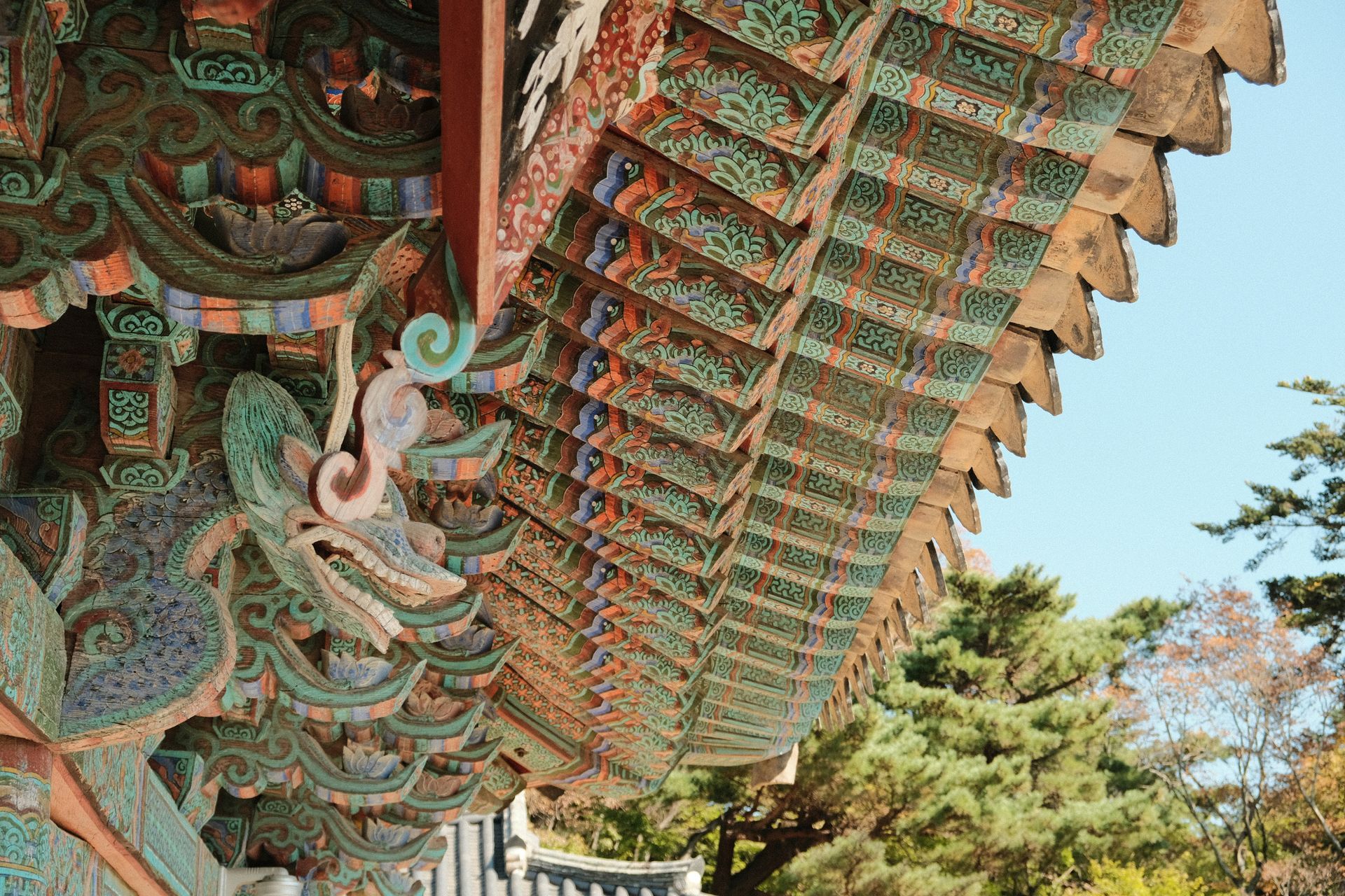 Ornate, multi-colored eaves of a traditional Korean temple, with intricate carvings in Gyeongju, South Korea.