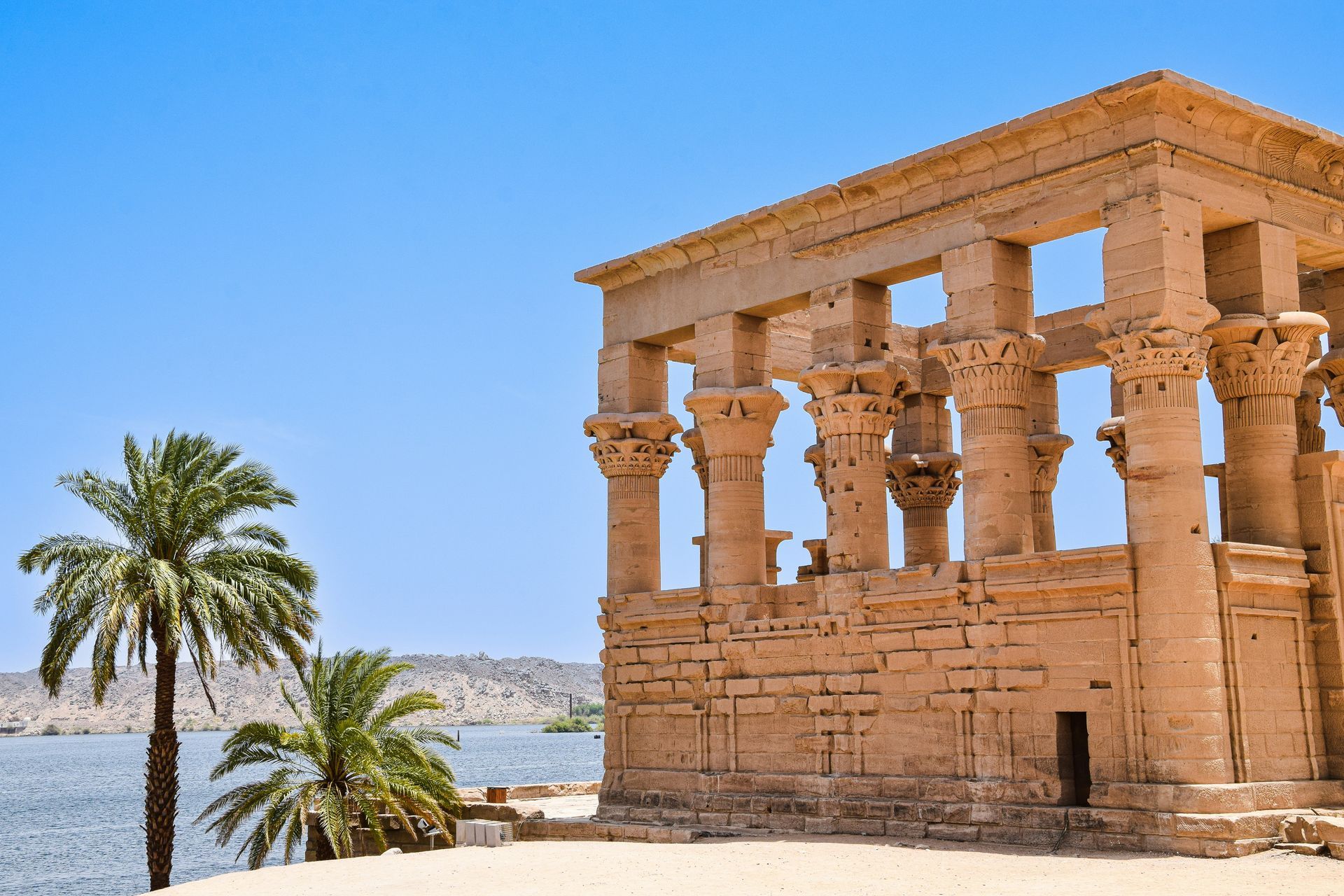There is a palm tree in the foreground and a building in the background in Aswan, Egypt.