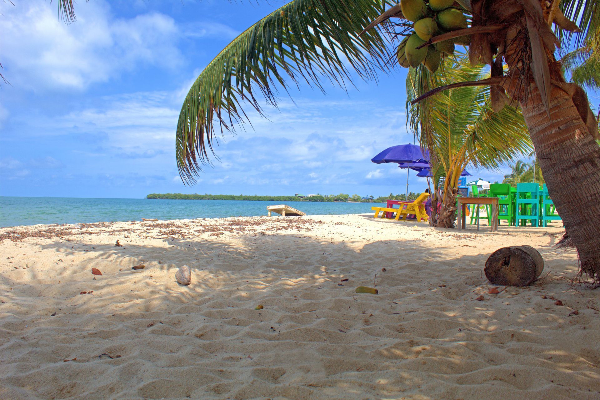 Beach scene with white sand, ocean, palm trees, and a blue sky.  Chairs and umbrellas sit near the water in Placencia, Belize.