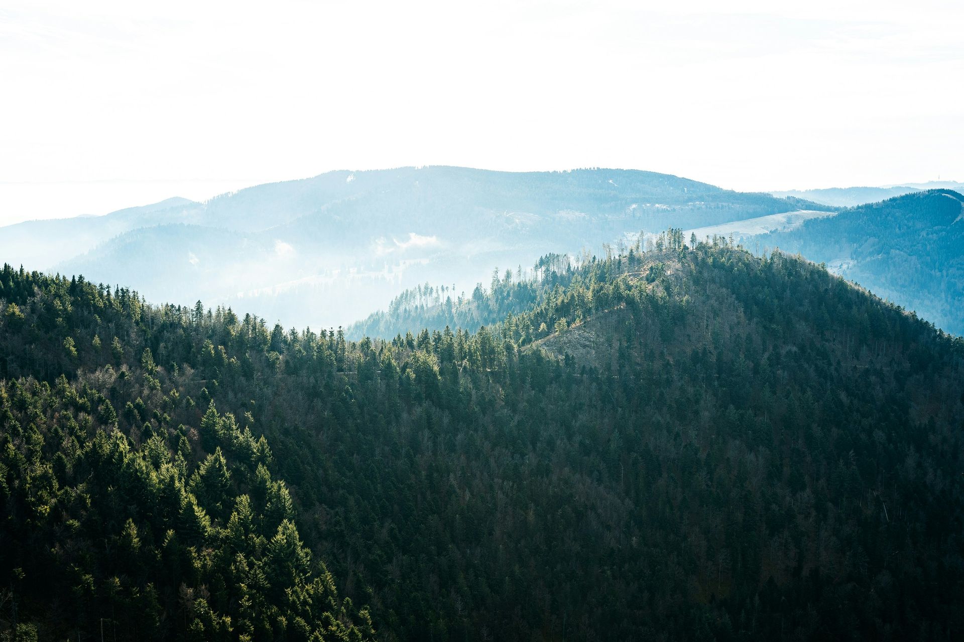 Rolling, forested mountain ridges fading into a hazy, light blue distance in The Black Forest, Germany.