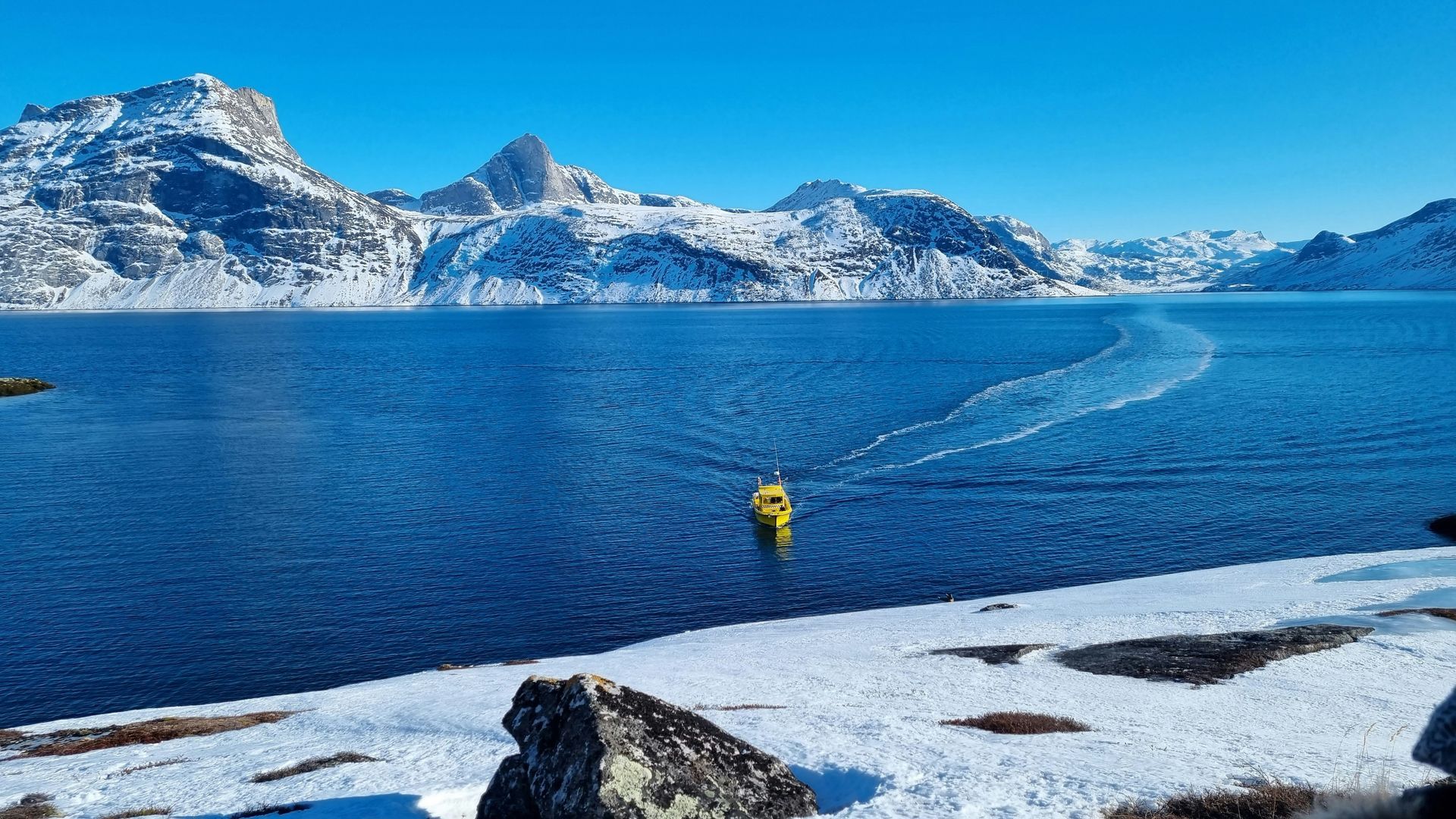 Yellow boat sails across a blue lake, snow-covered mountains in the background in Nuuk, Greenland.