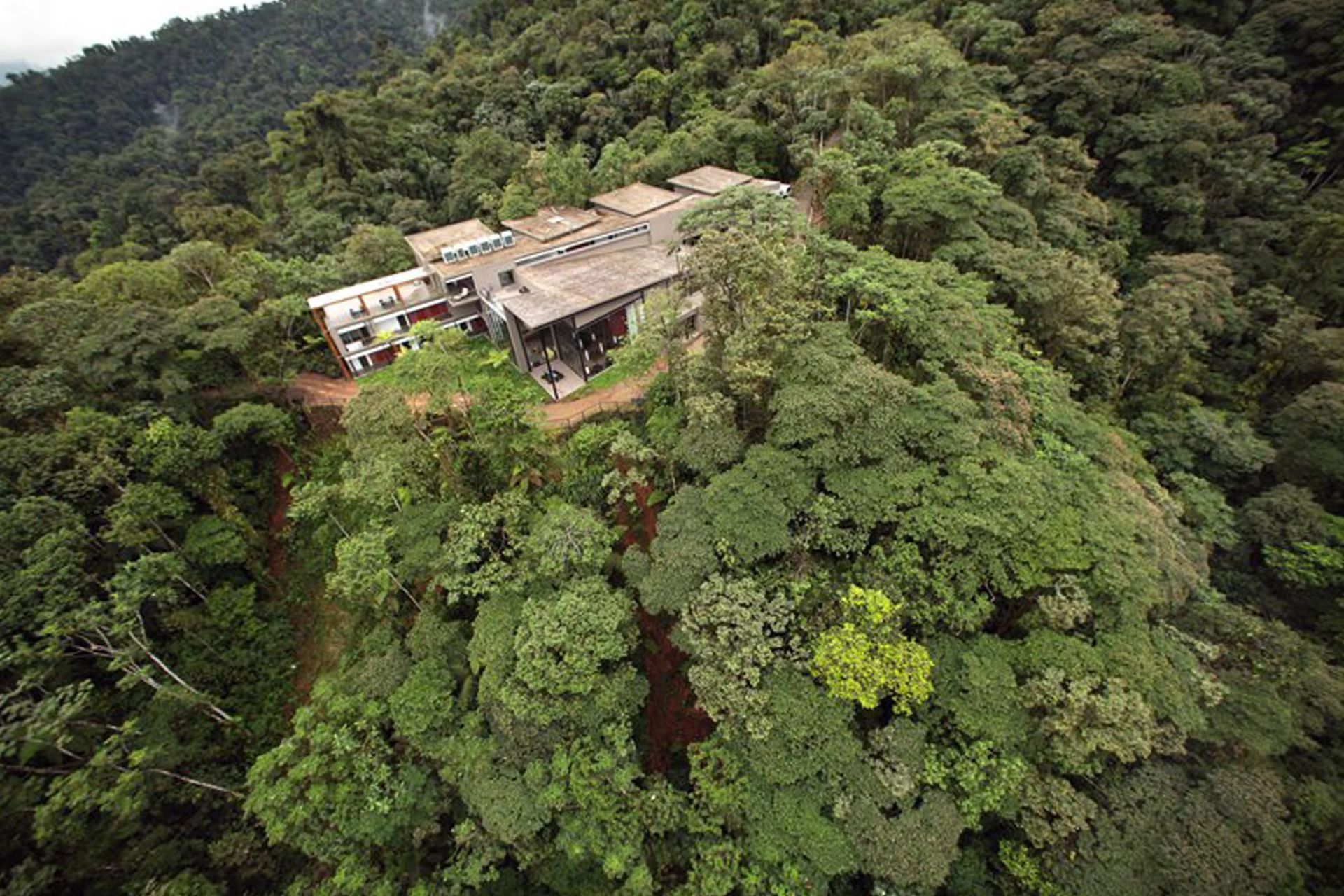 An aerial view of a house in the middle of a lush green forest.