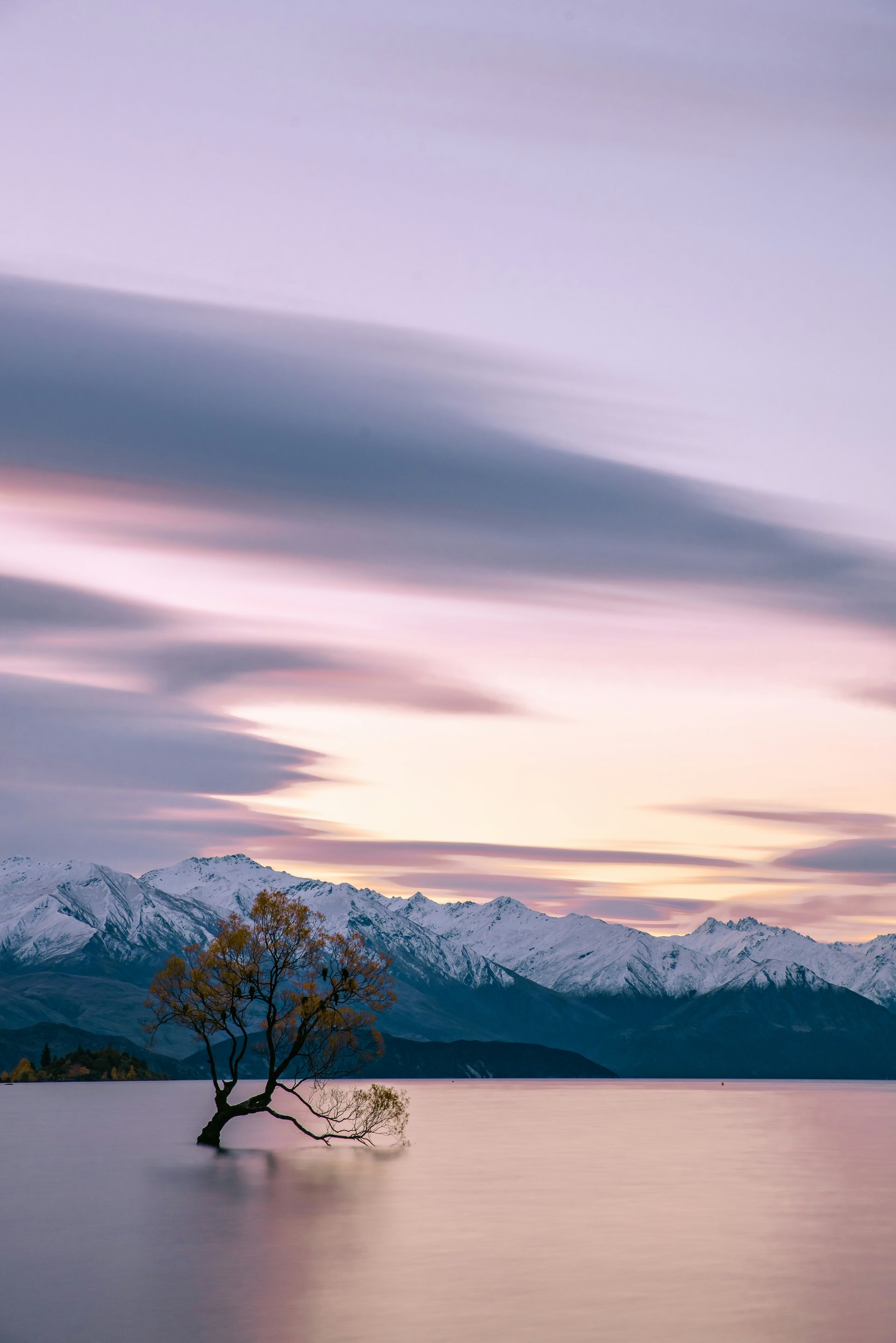 There is a tree in the middle of a lake with mountains in the background.