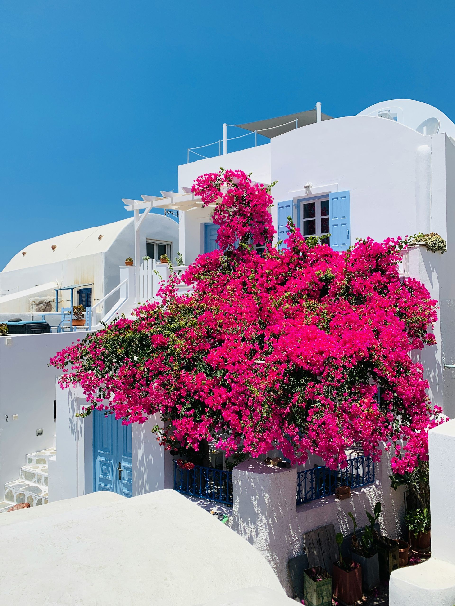 A white building with pink flowers in front of it in Santorini, Greece.