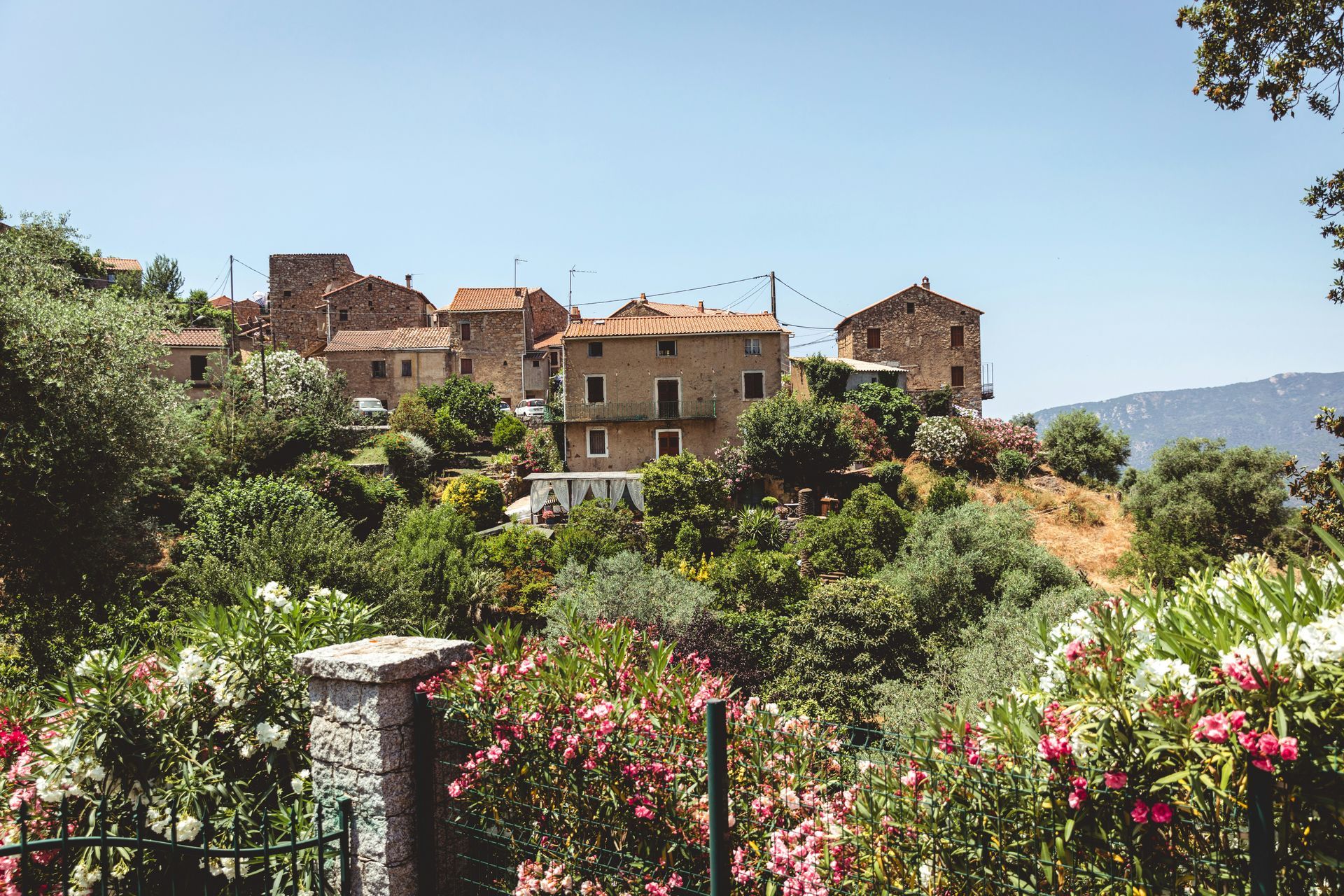A small village sitting on top of a hill surrounded by flowers and trees in Corsica, France.