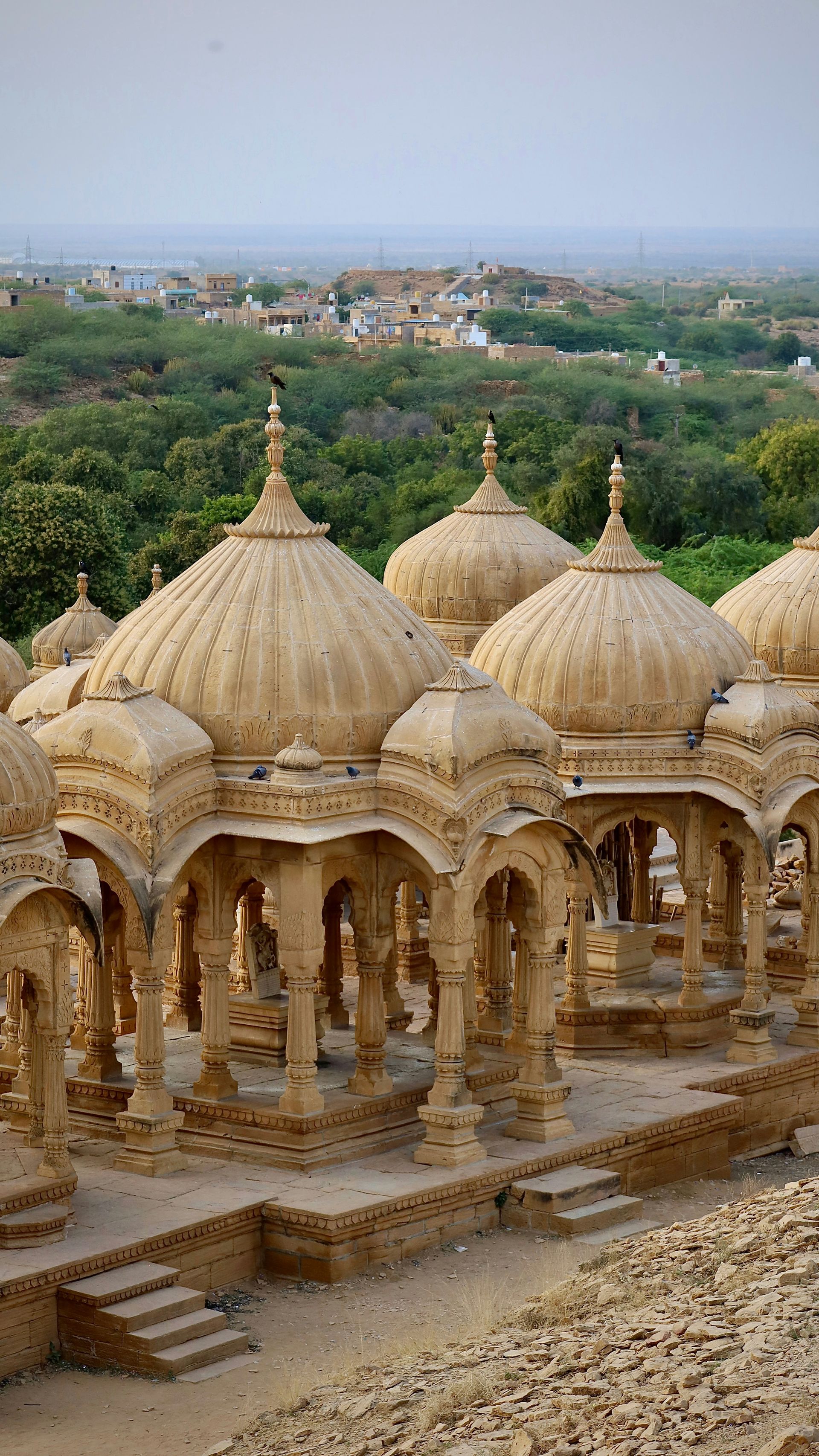 Elaborate sandstone cenotaphs with domed roofs overlook a green landscape in Jaisalmer, India.