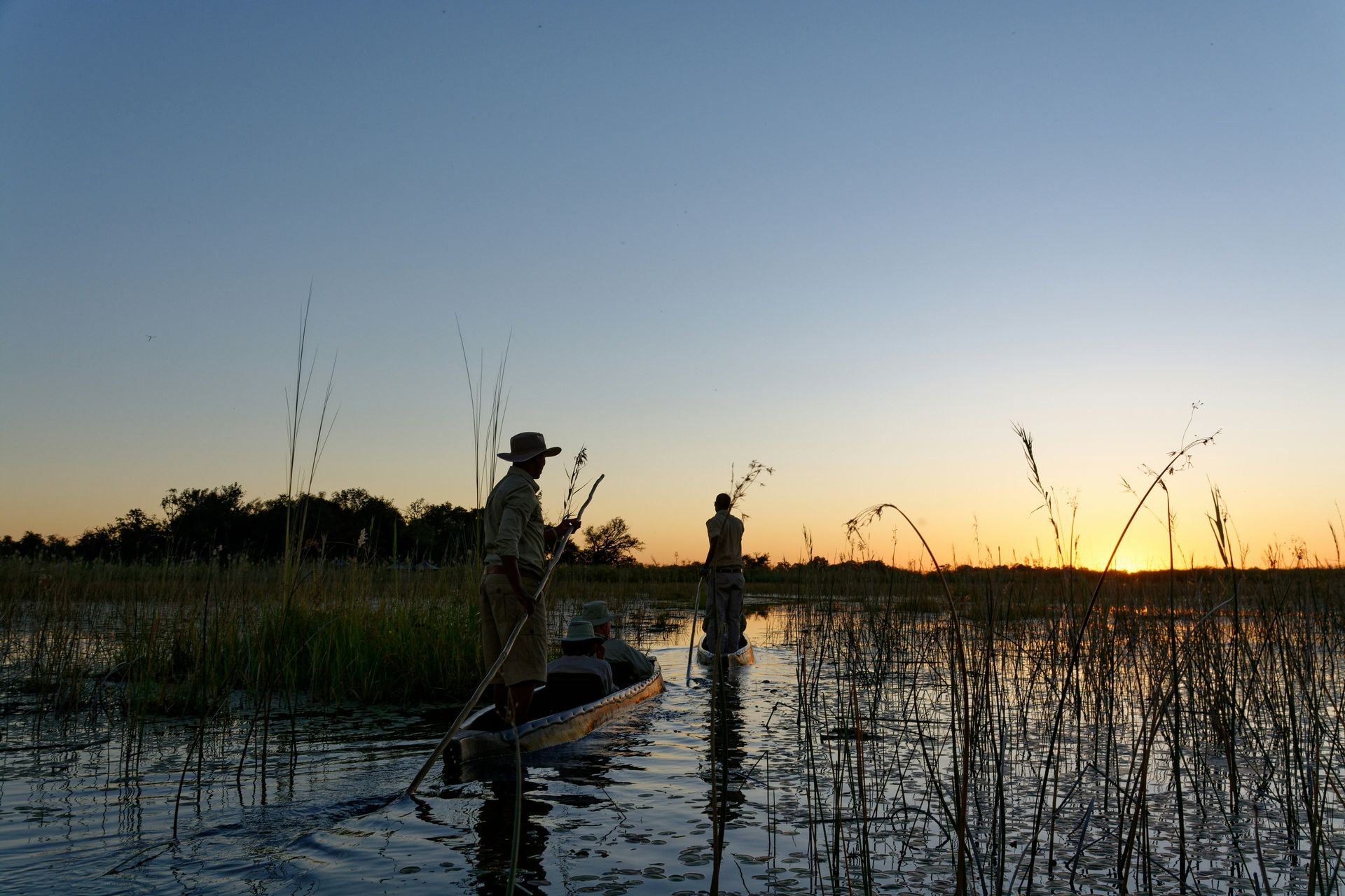 People paddling boats in a marsh at sunset. Silhouetted against the sky at the Okavango Delta, Botswana.