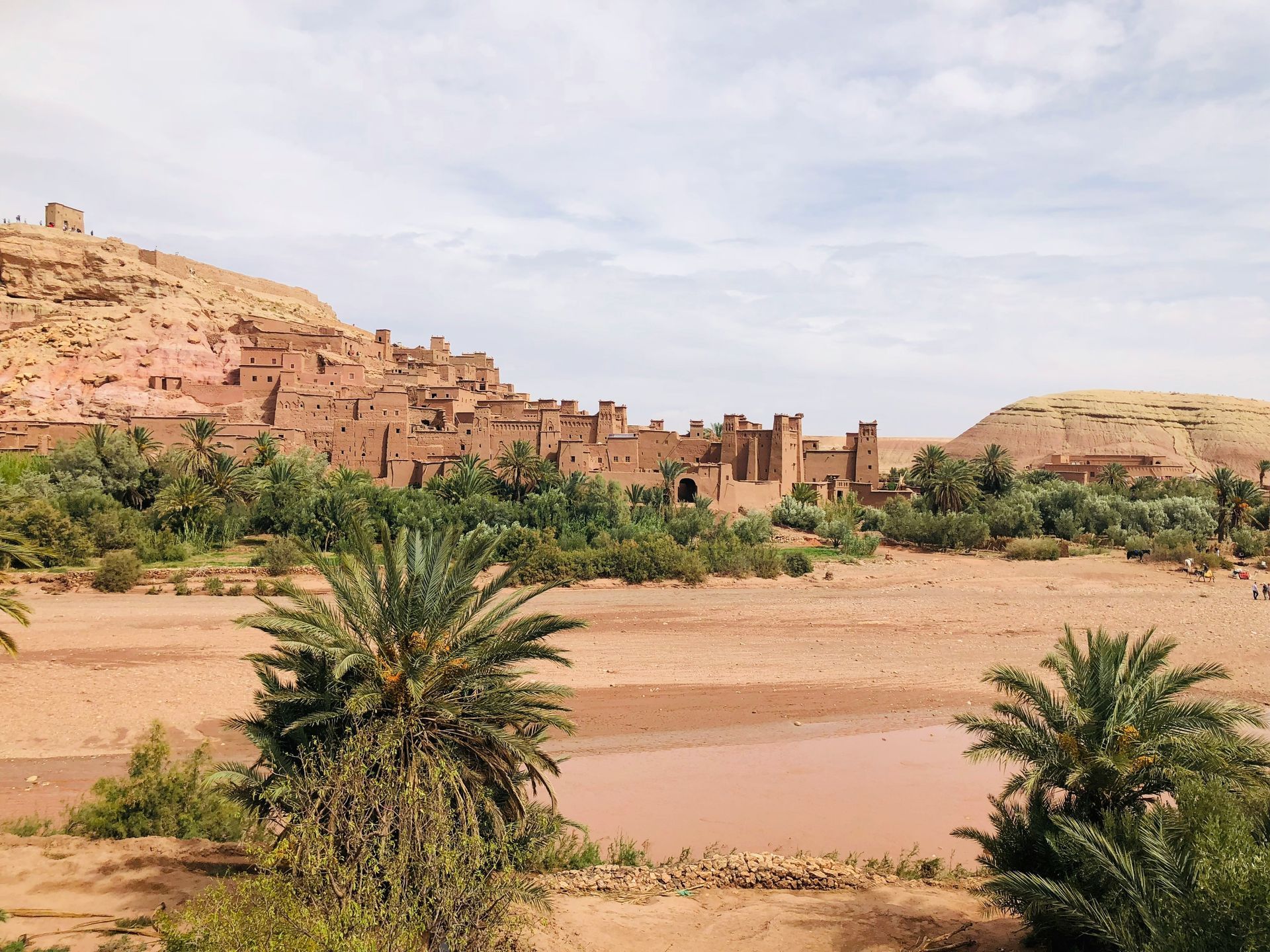 A desert landscape with palm trees and a castle in the background in Ouarzazate, Morocco.