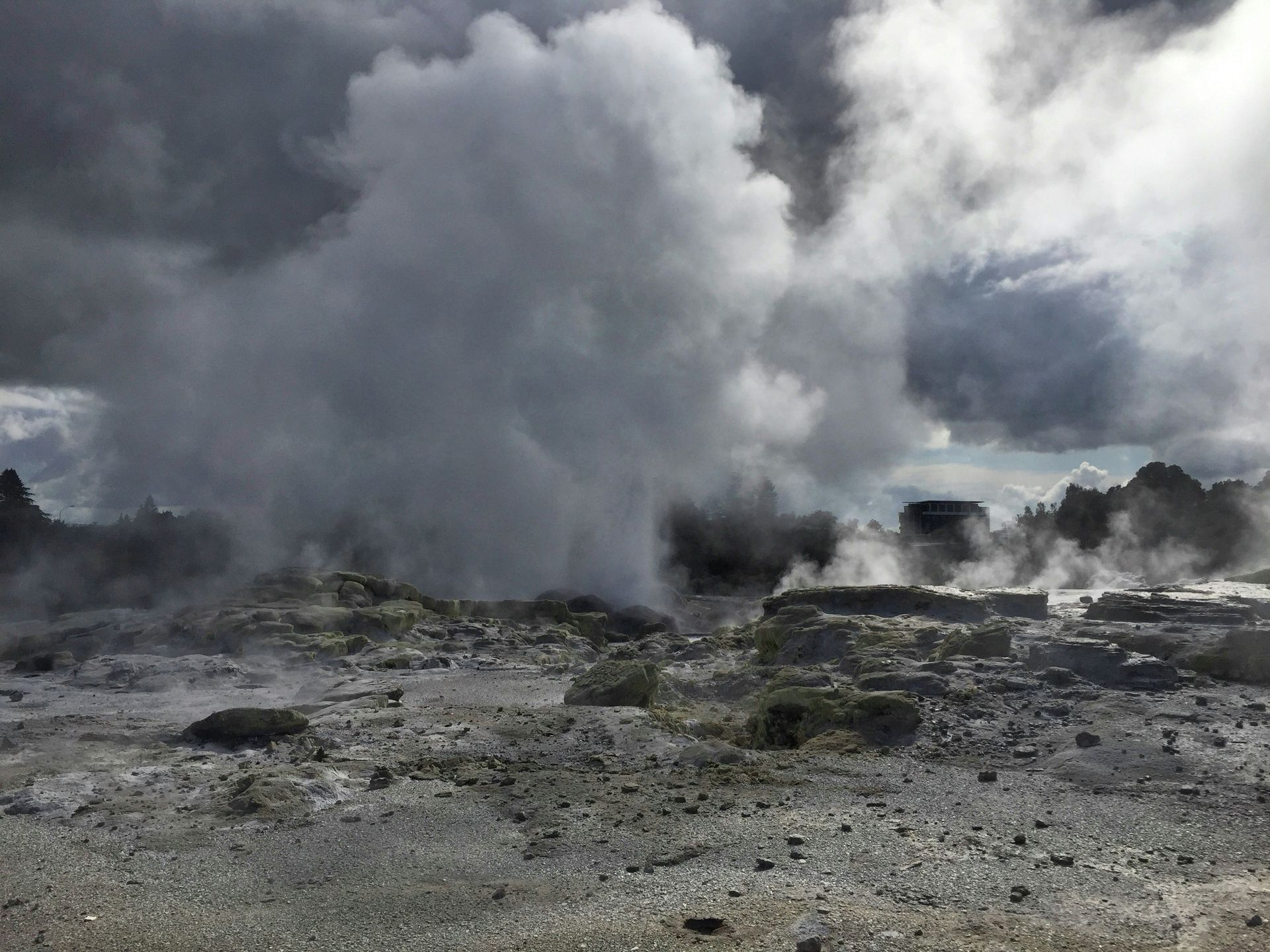 A Geyser with steam coming out of it at Te Puia in Rotorua, New Zealand.