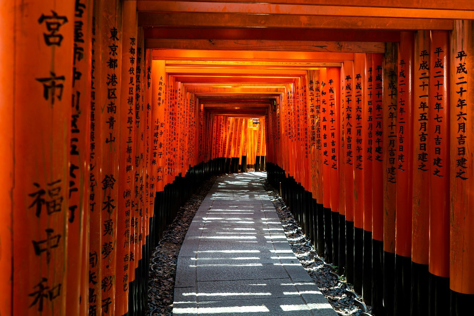 Orange torii gates lined along a stone path in a tunnel in Kyoto, Japan.