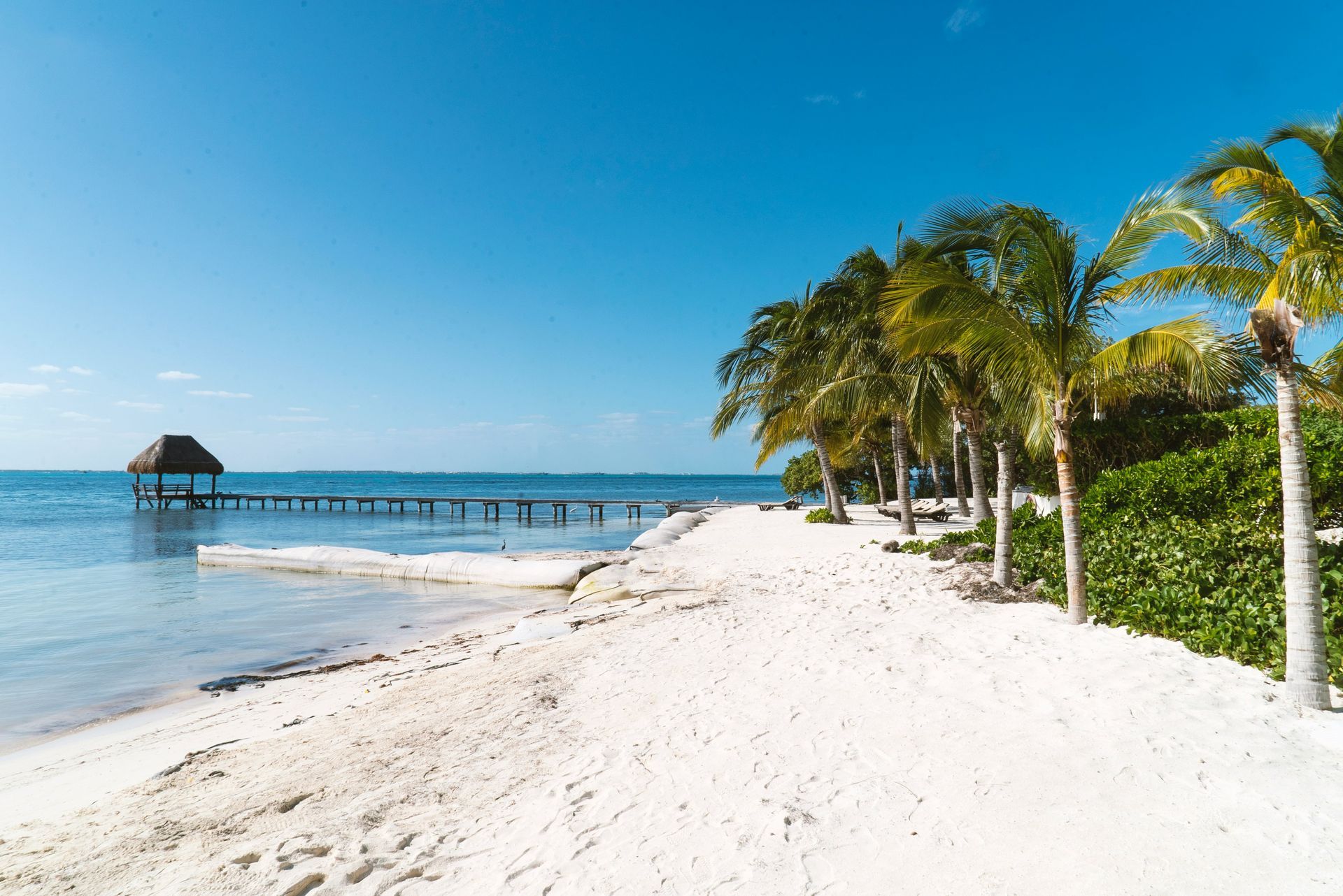 White sand beach with palm trees, a wooden pier, and a small shelter on the water under a bright blue sky i Cancún, Mexico.