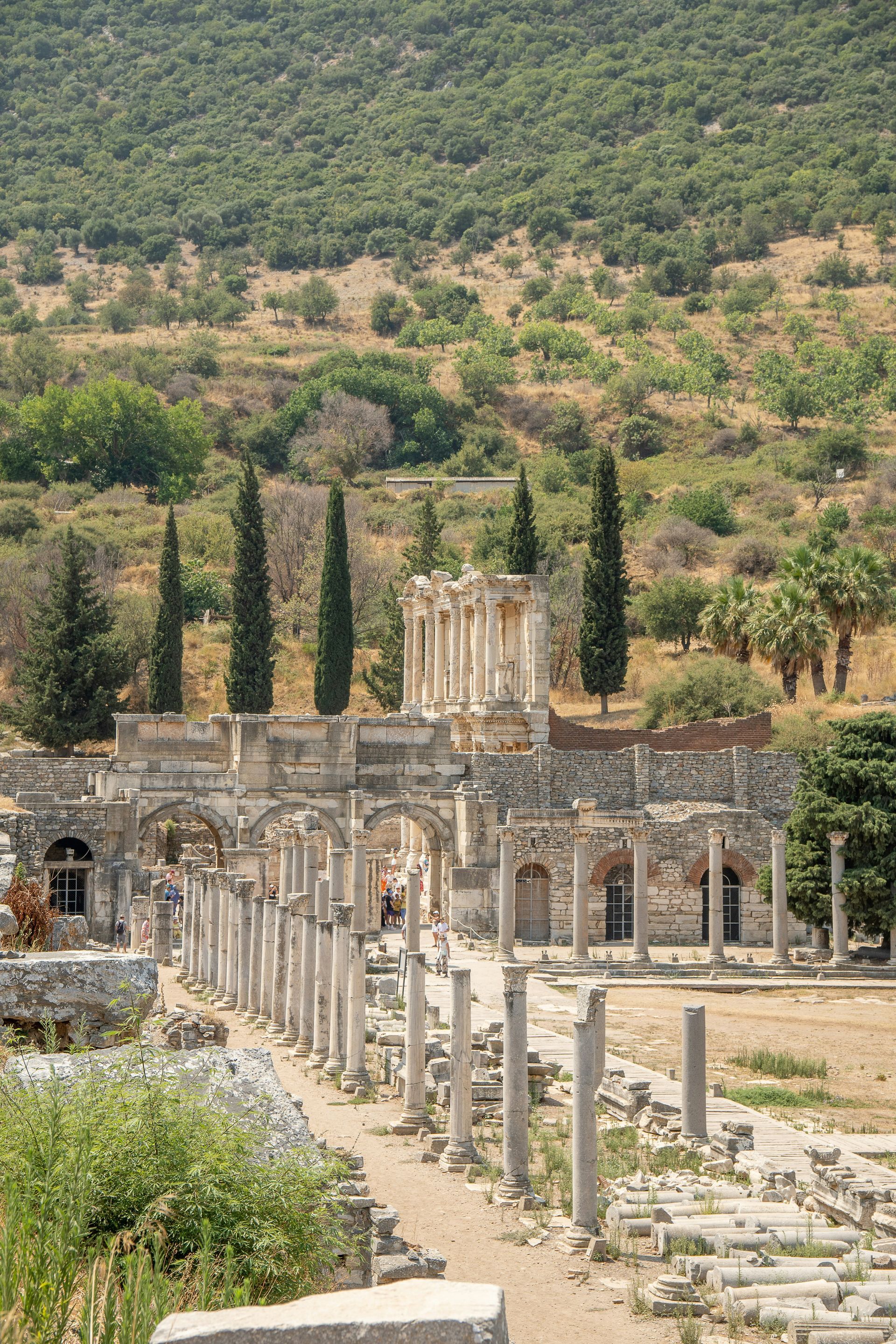 Ruins of Ephesus with columns, arches, and a distant building against a hillside with trees in Turkey.