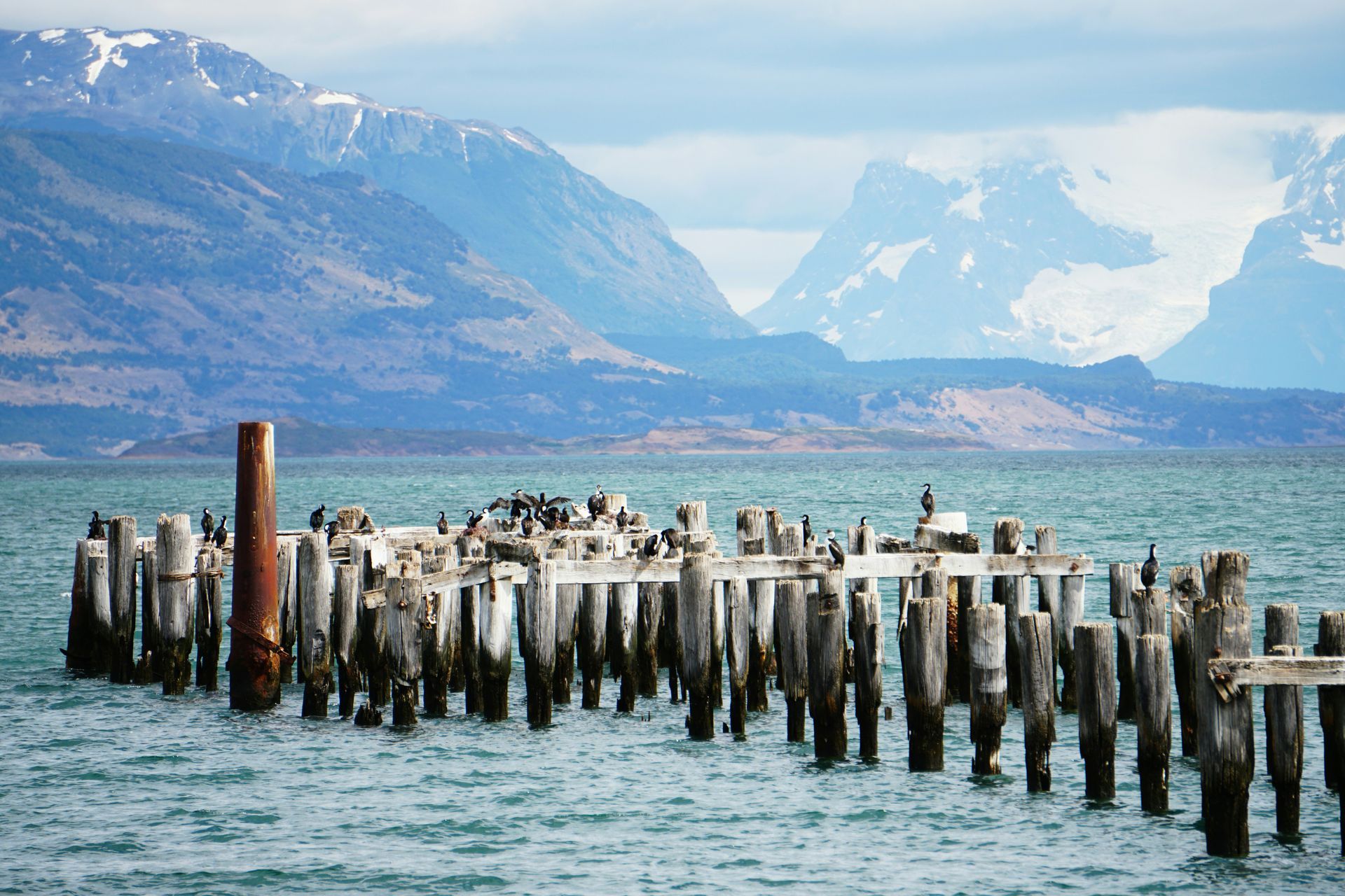 Old pier pilings in water, birds perched on wood, mountains in background in Torres del Paine, Chile.