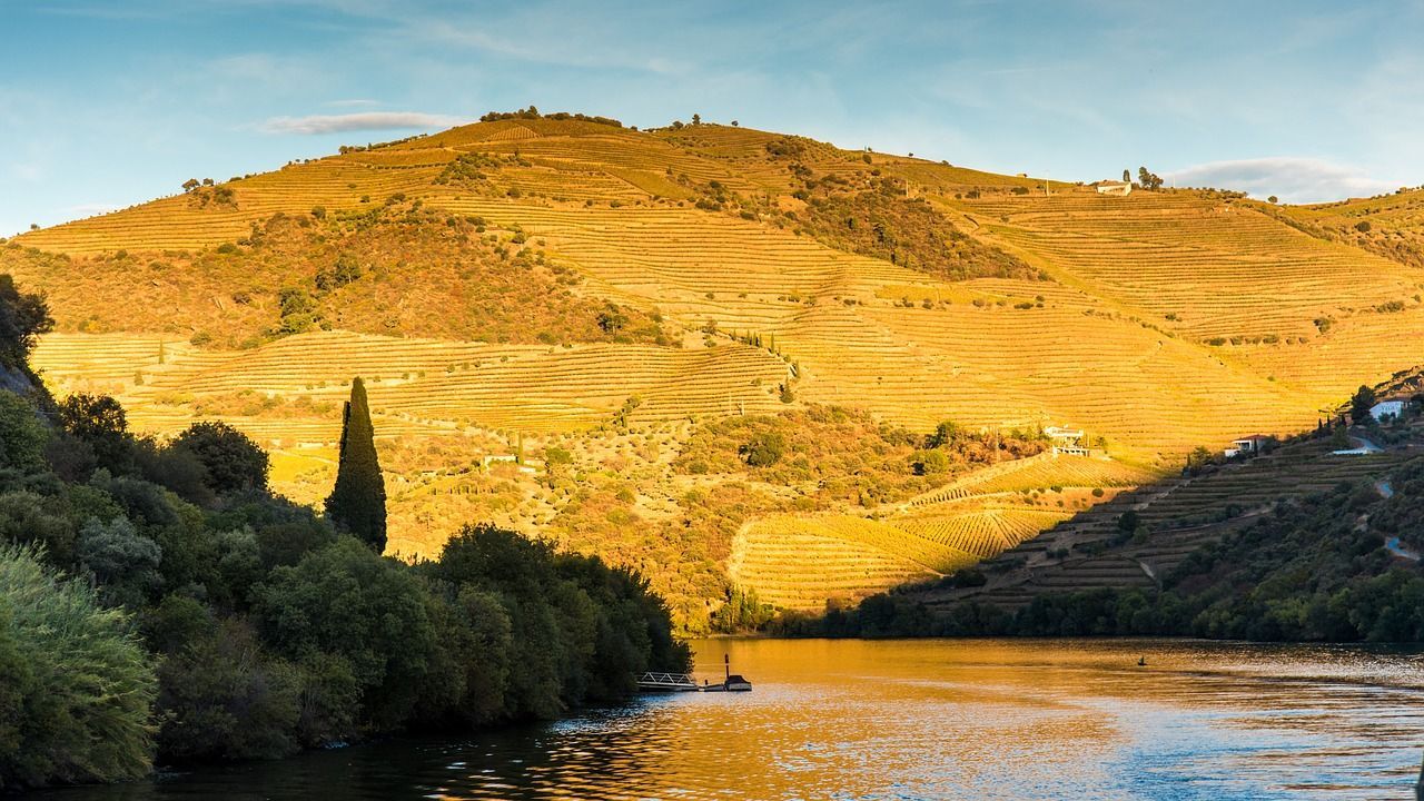 A boat in the middle of the Douro River has mountains in the background.