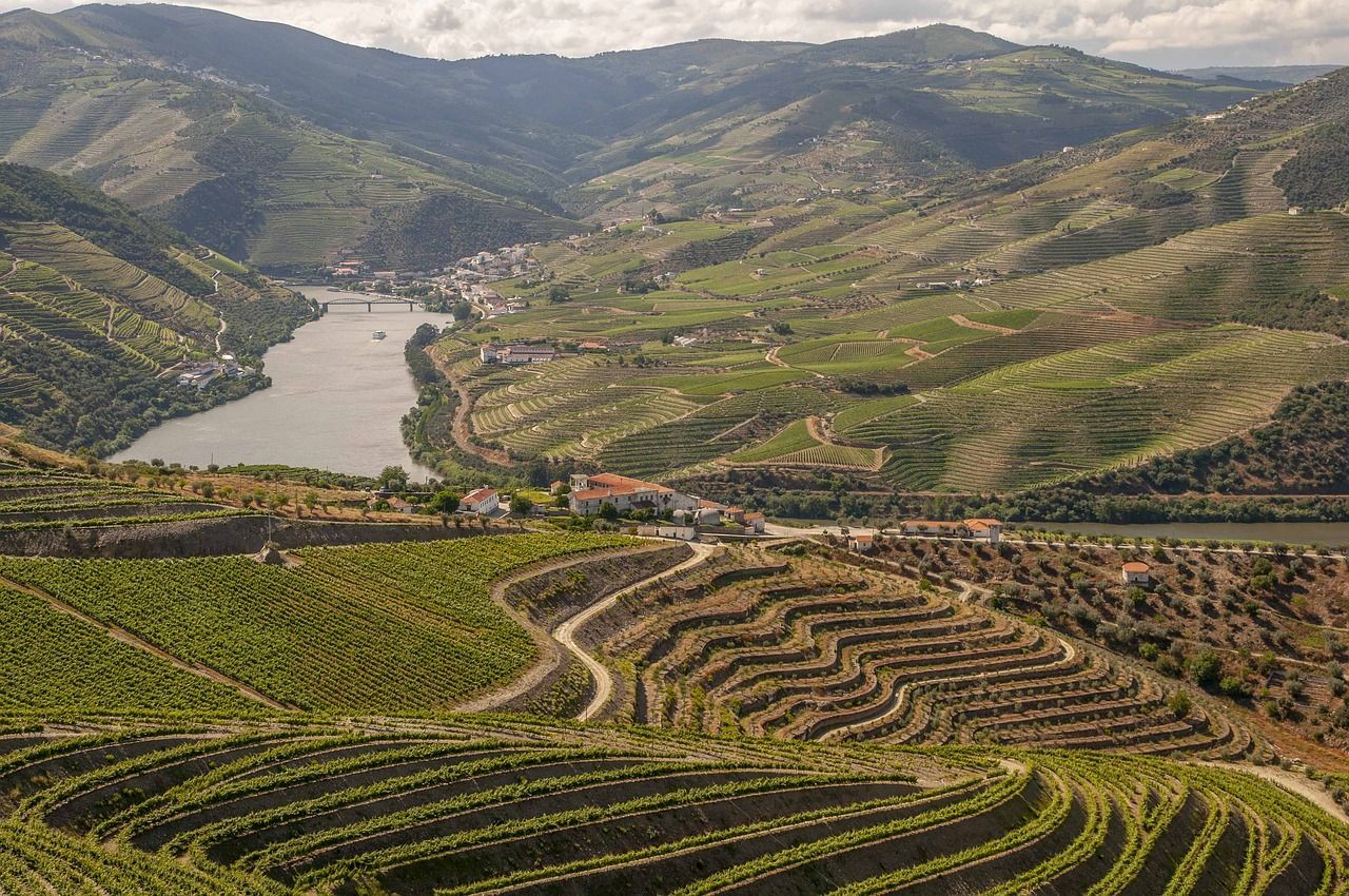 The Douro River runs through a valley surrounded by mountains and vineyards.