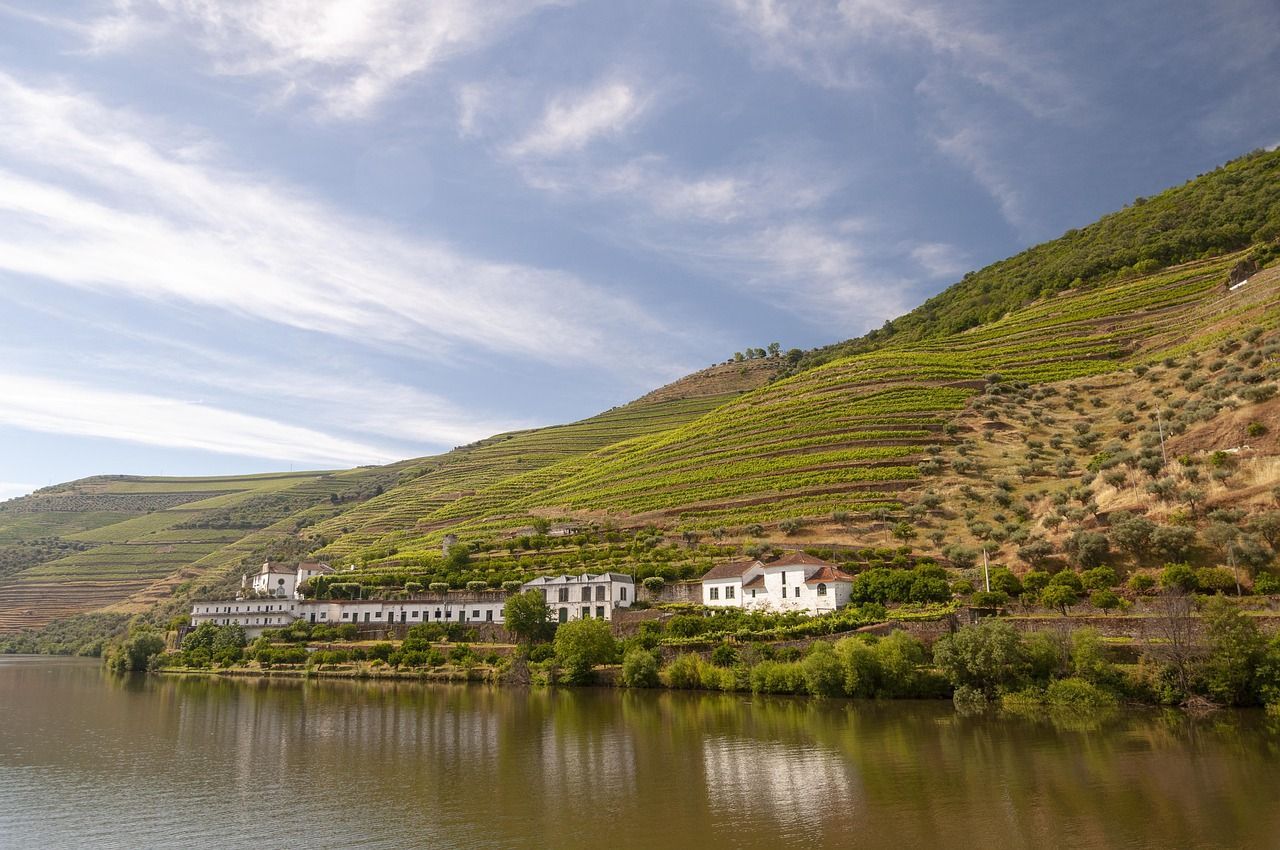 The Douro River is surrounded by mountains and trees.