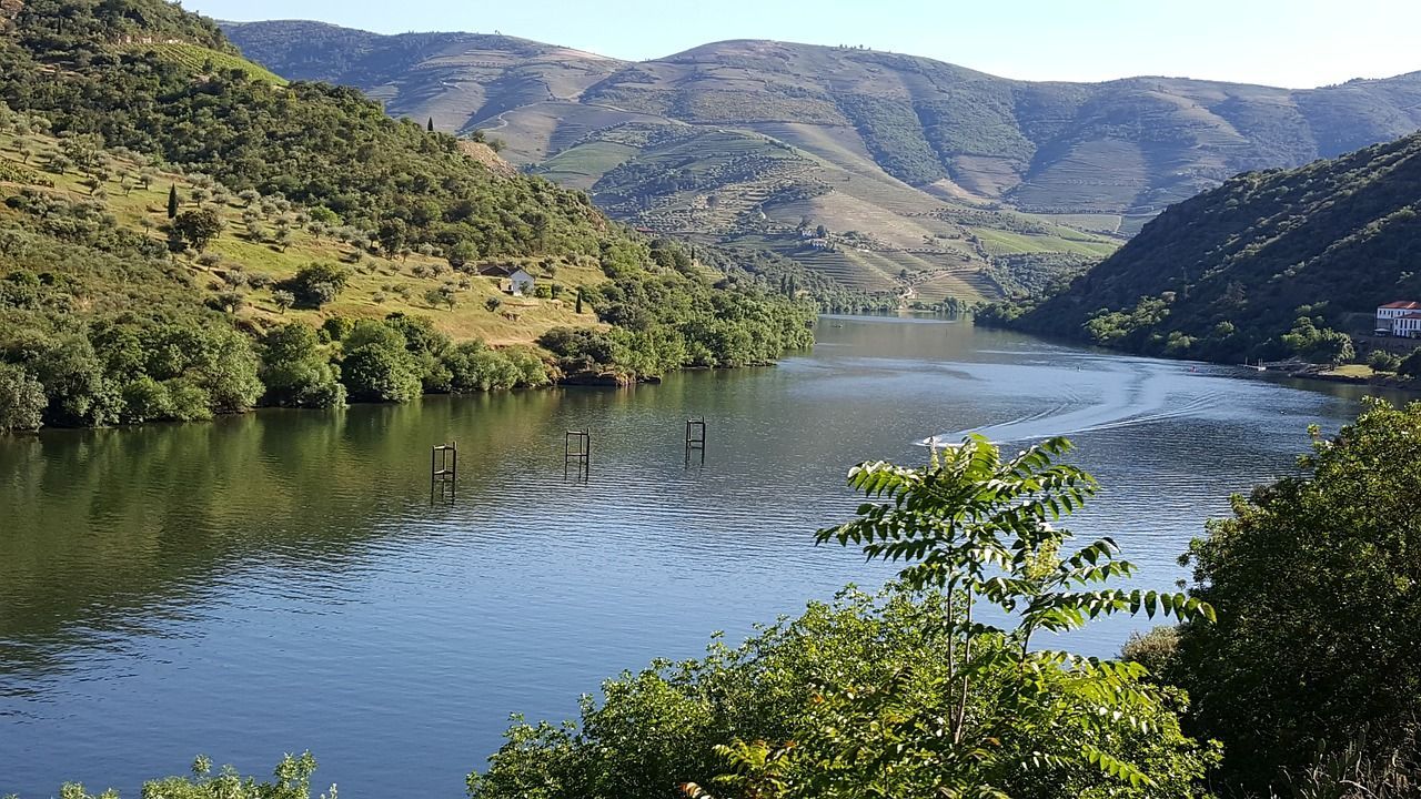 The Douro River is surrounded by mountains and trees.