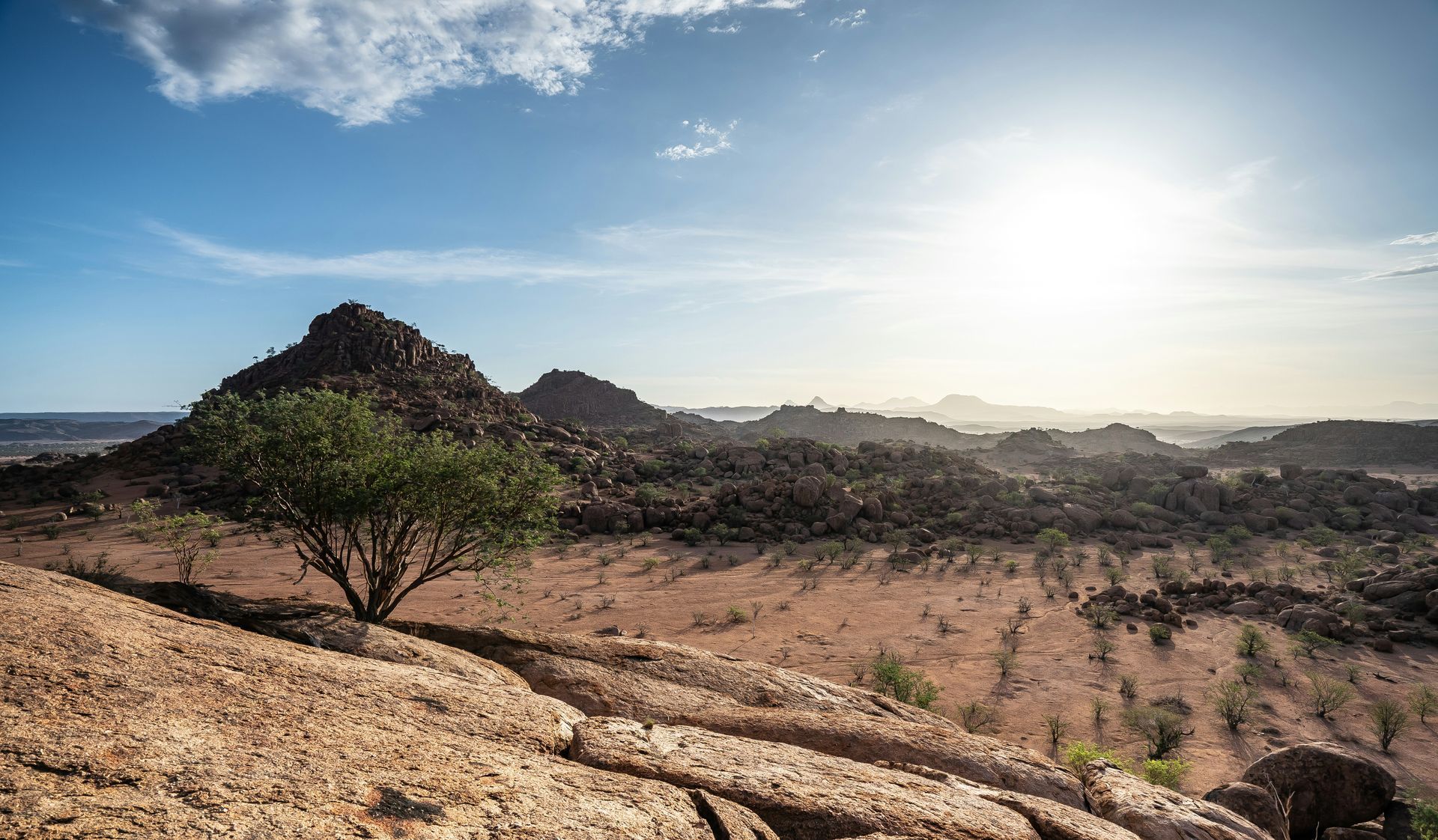 Sunny desert landscape with rock formations, sparse vegetation, and a tree in the foreground in Damaraland, Namibia.