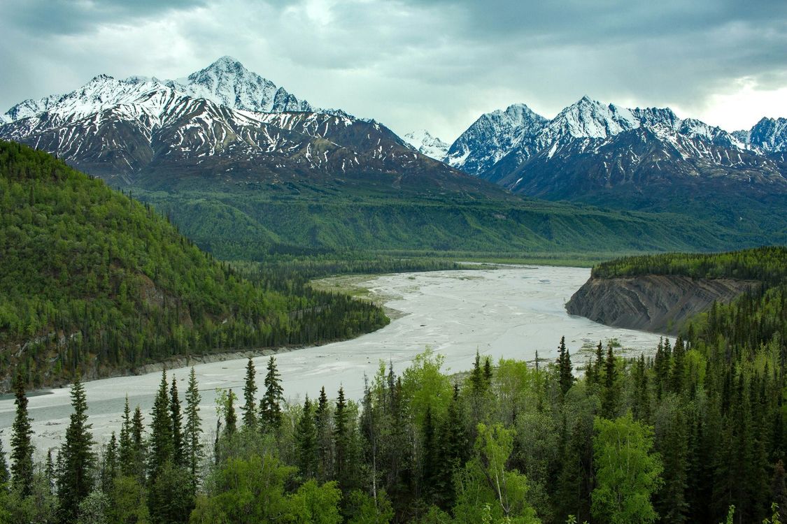 A river flowing through a forest with mountains in the background