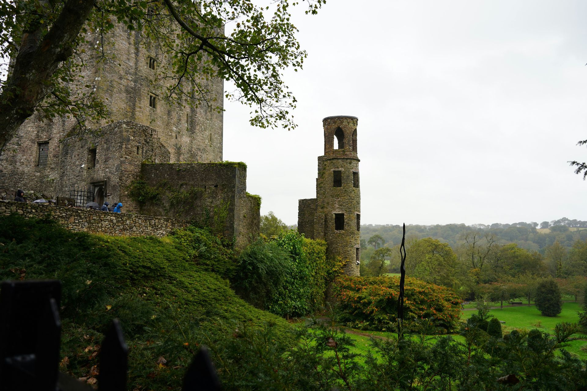 The Blarney Castle ruins with a round tower on a grassy hill under a cloudy sky in Cork, Ireland.