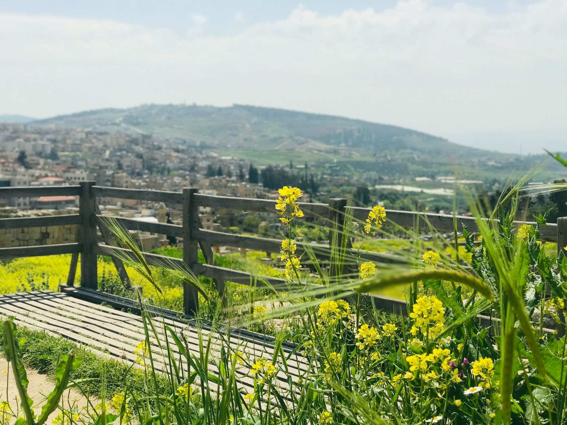 Wooden fence with wildflowers overlooking a hillside town on a sunny day in Jerash, Jordan.