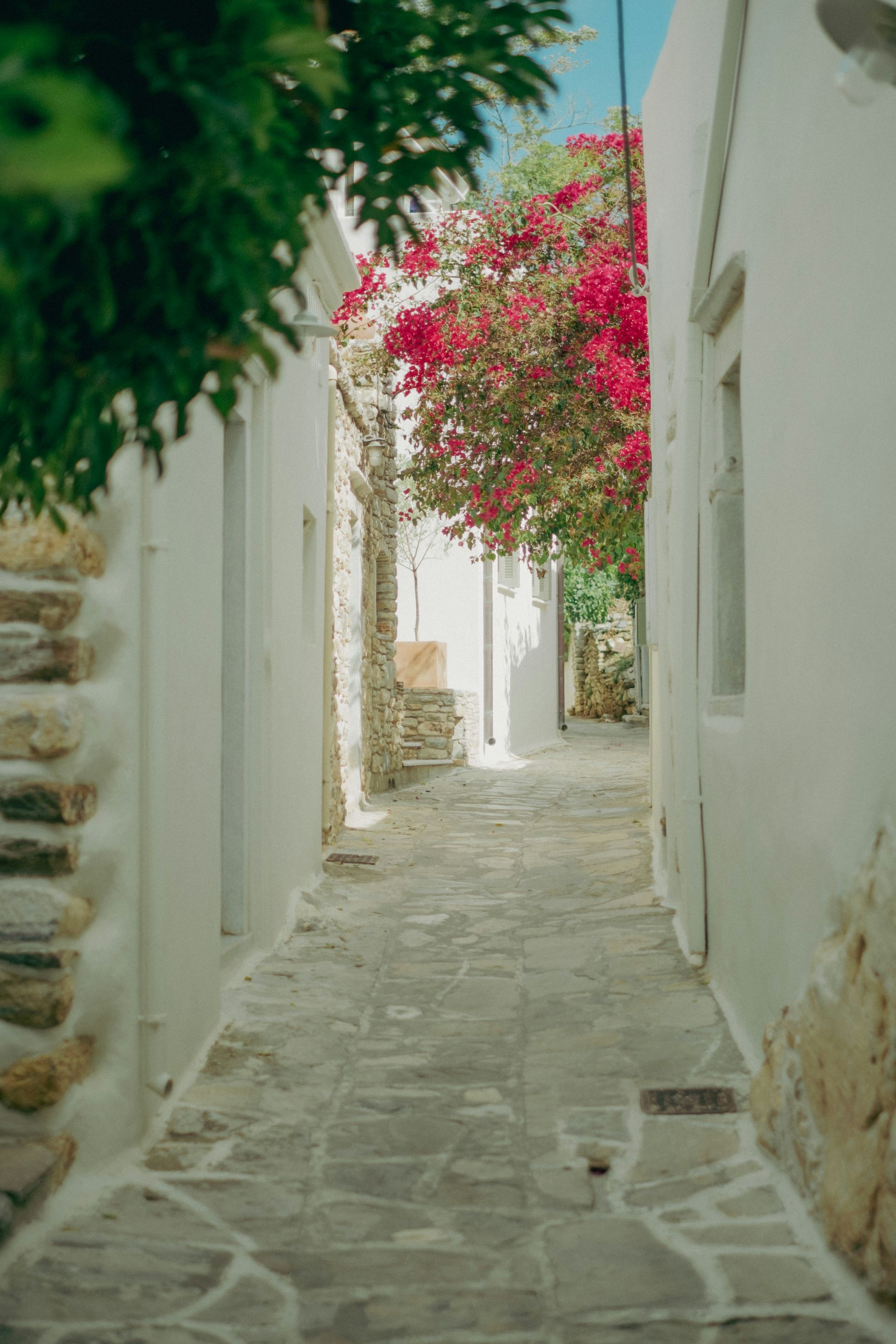 A narrow alleyway between two white buildings with pink flowers in Naxos, Greece.