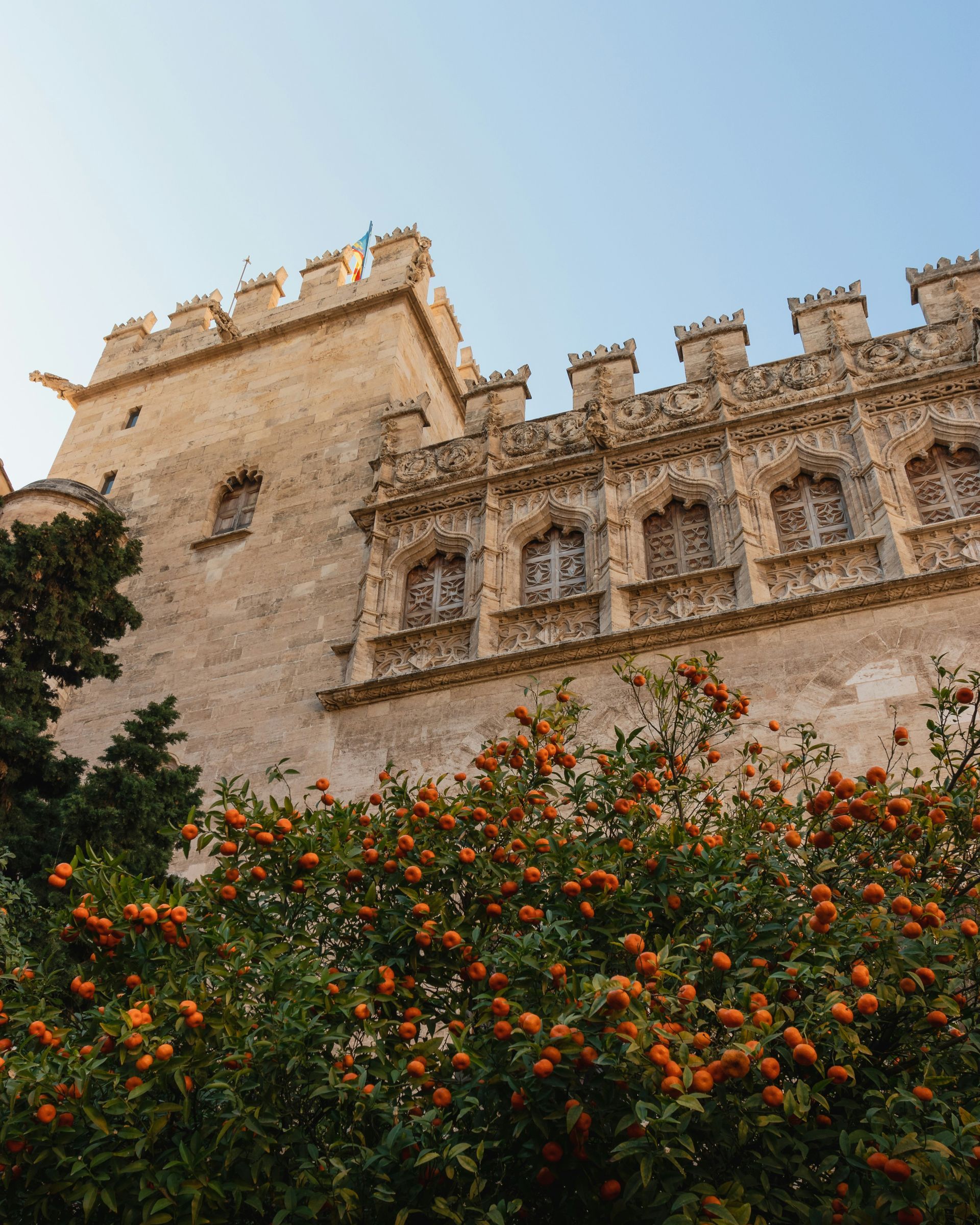 Stone building with ornate windows, a tower, and orange trees under a blue sky in Valencia, Spain.