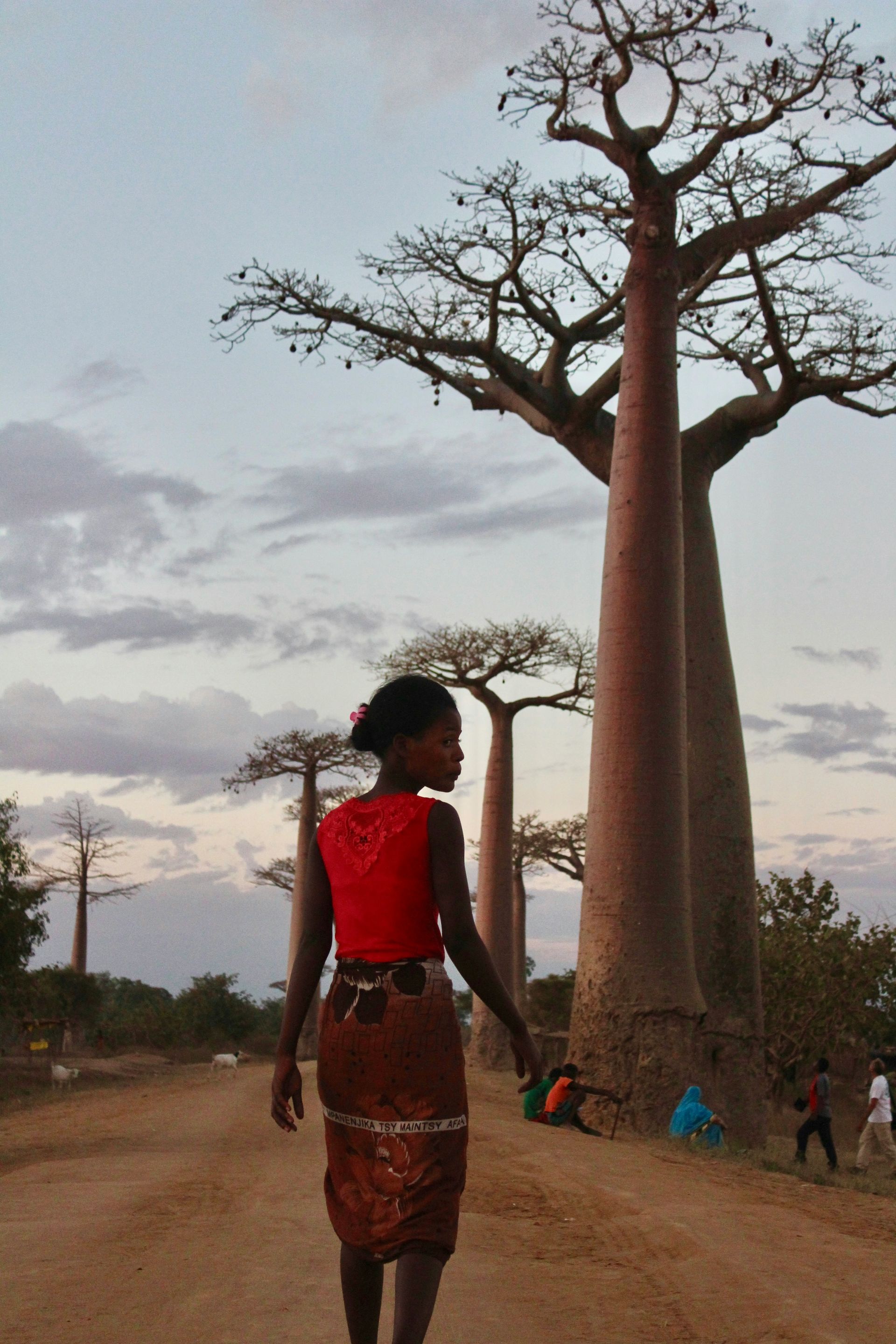 Woman walks along a dirt road lined with towering baobab trees in Madagascar, at sunset.