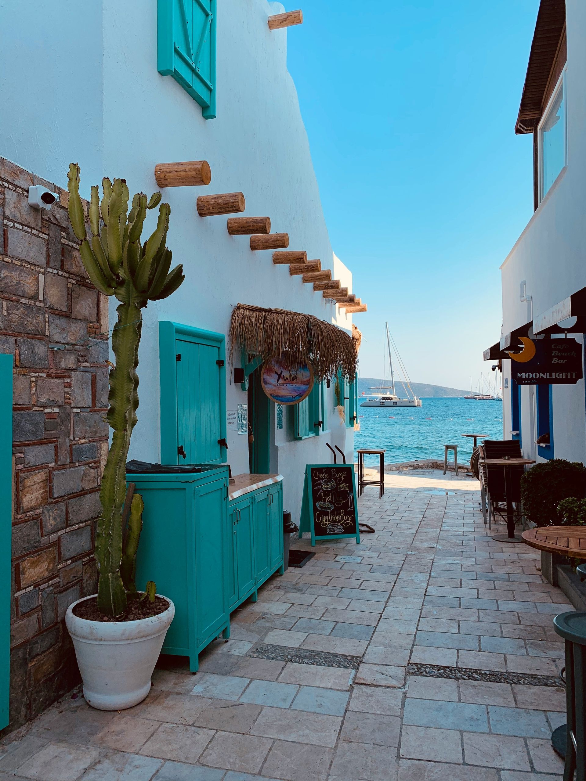 Narrow cobblestone street with white buildings, turquoise doors, and a cactus in Bodrum, Turkey.