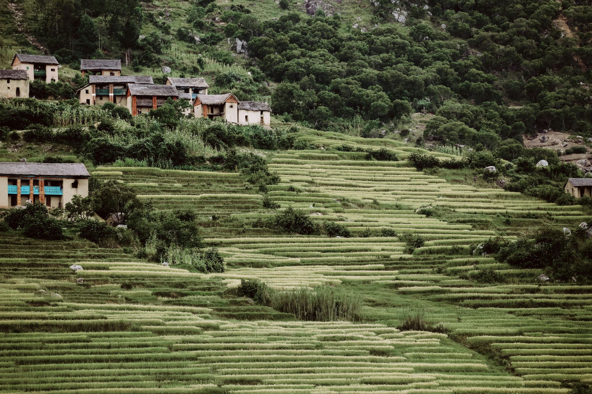 Small buildings nestled in terraced rice fields cascade down a hillside in Ambositra, Madagascar.