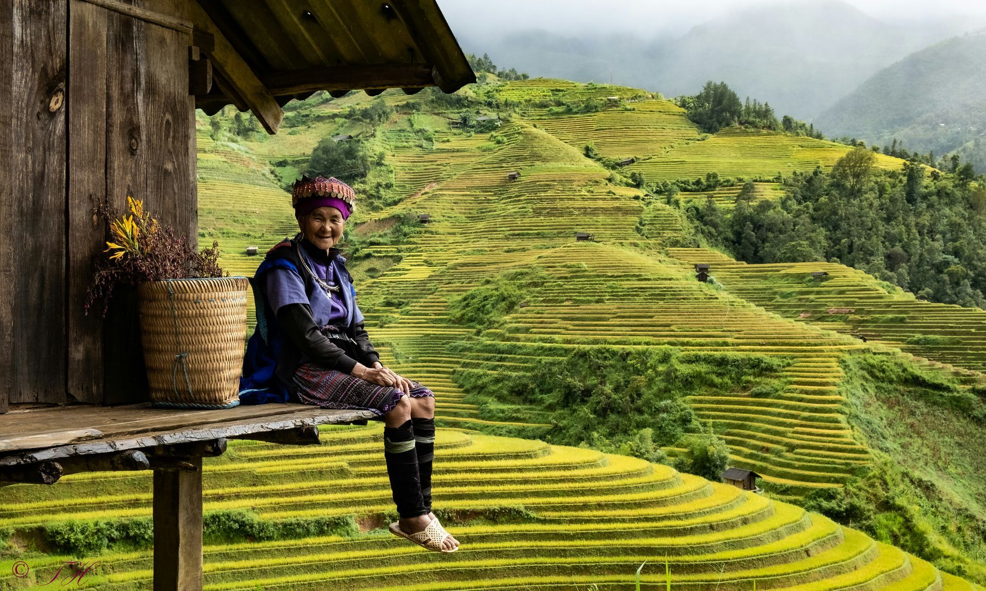 Woman in traditional clothing sits on a wooden porch overlooking terraced rice fields in Vietnam.