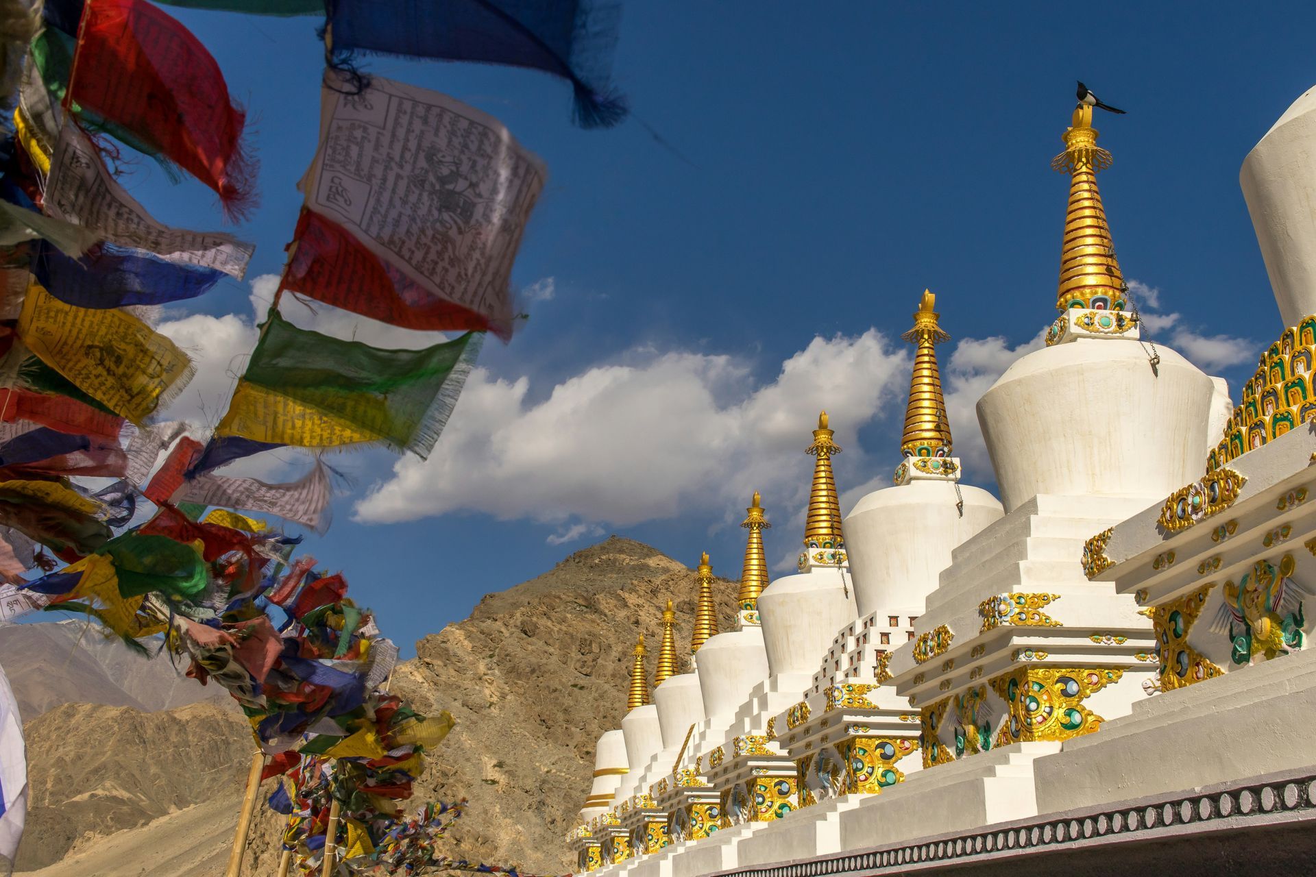 White stupas with gold accents and colorful prayer flags in Ladakh, India.