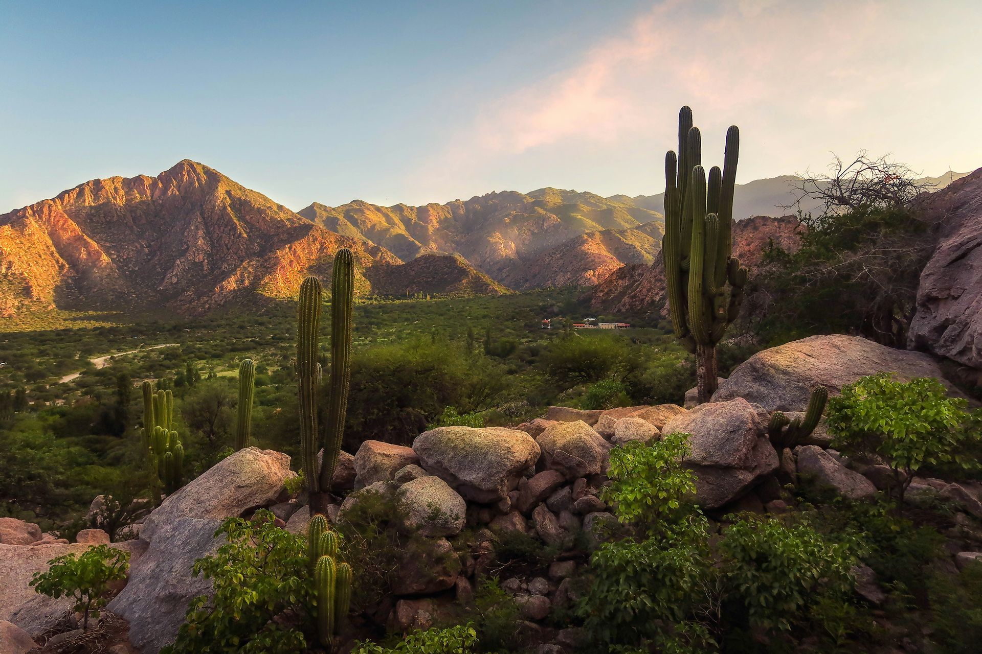Mountains and cacti at sunset, casting golden light on the landscape in Salta, Argentina.