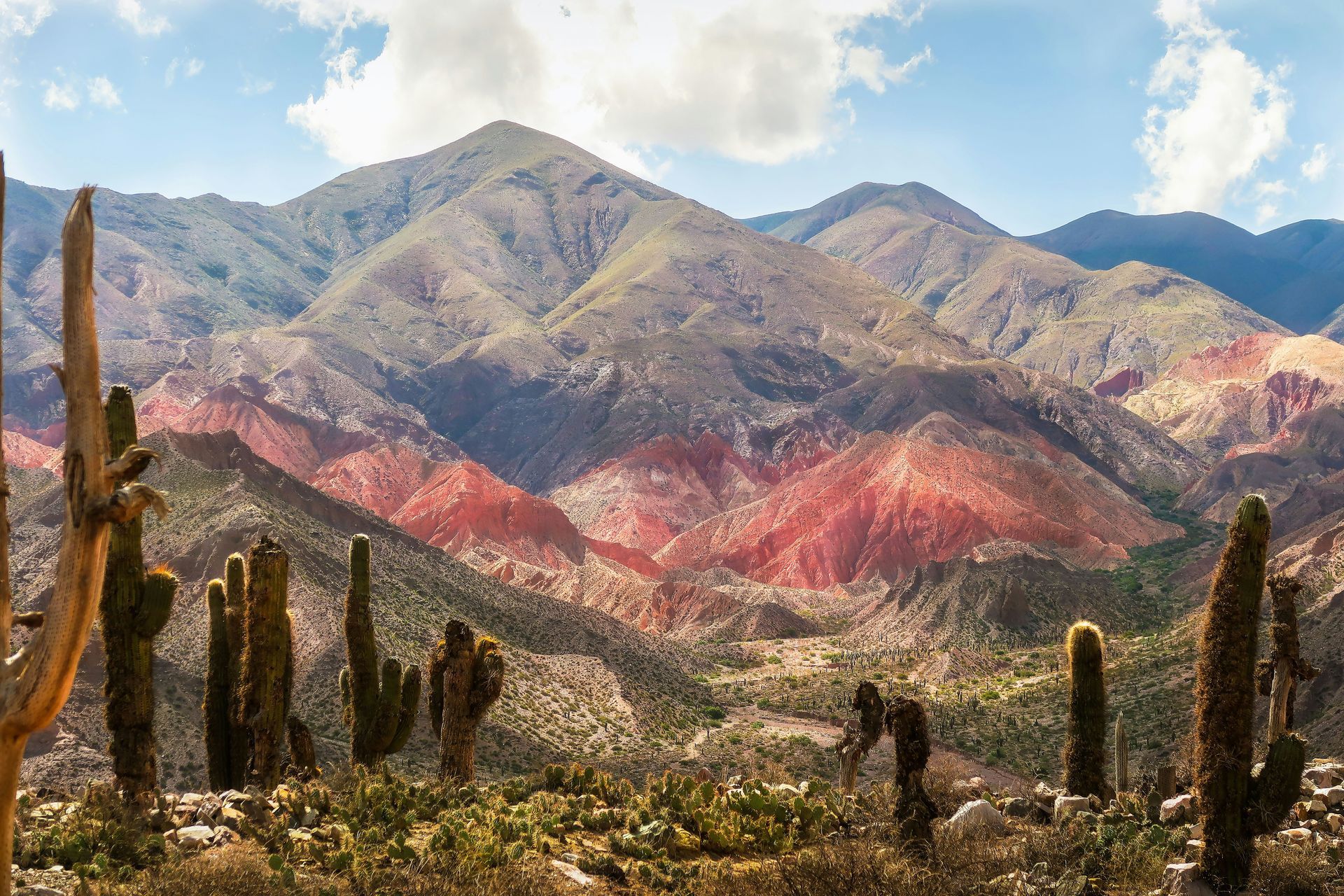 Serranía de Hornocal Rainbow Mountains with colorful layers, cacti in the foreground, sunny sky in Salta, Argentina.