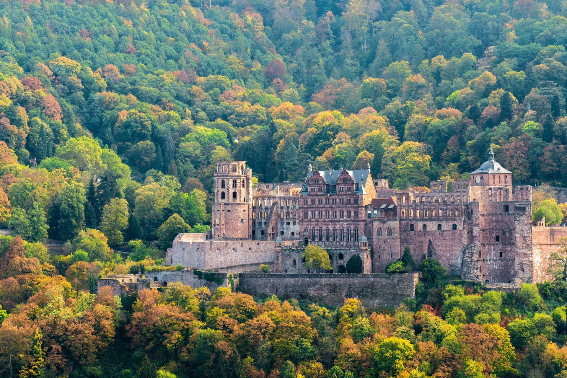 A large castle is surrounded by trees on top of a hill in Heidelberg, Germany.