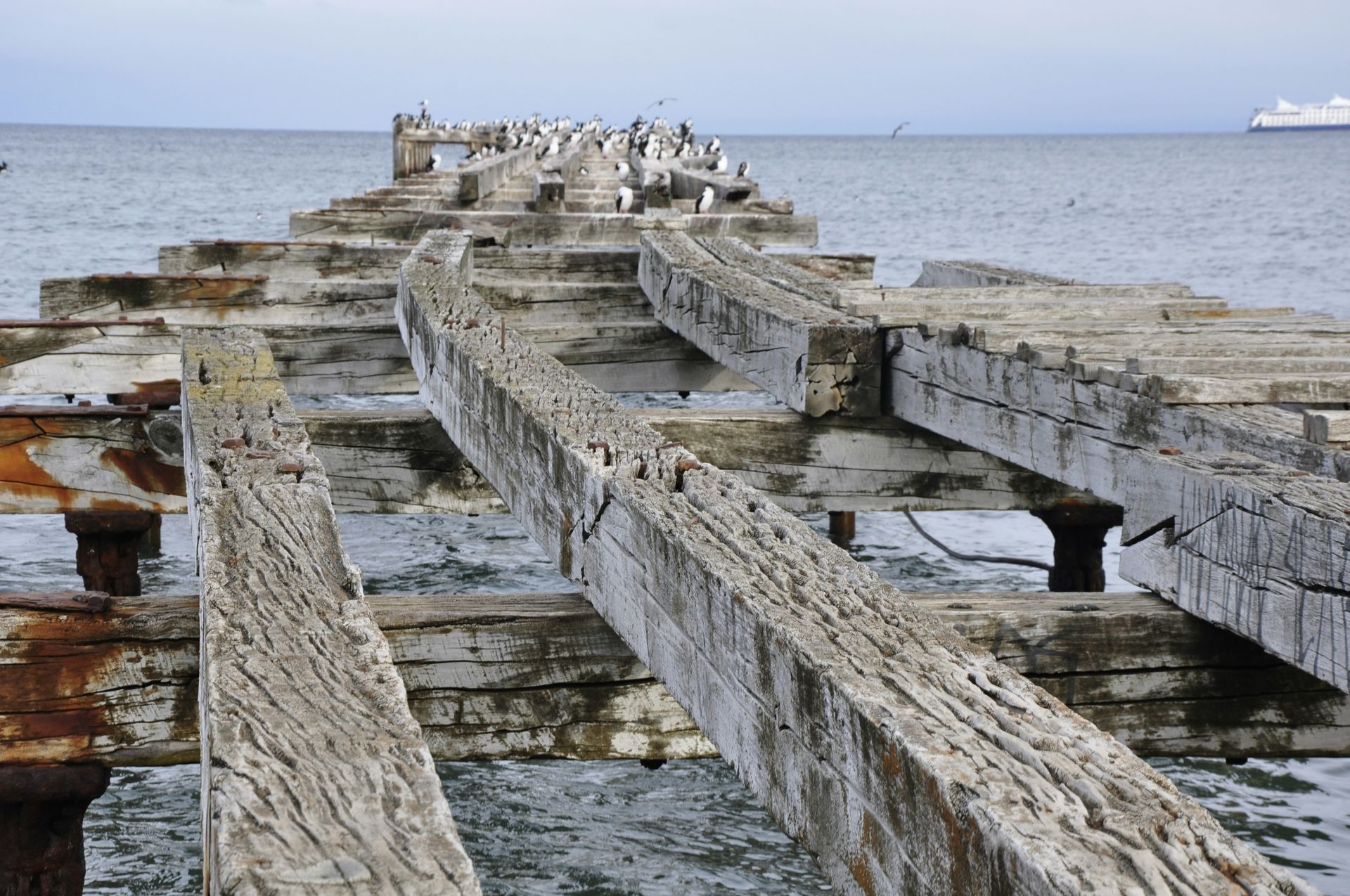 Dilapidated wooden pier extending into the ocean, seagulls perched on top. Overcast sky, distant ship in Punta Arenas, Chile.