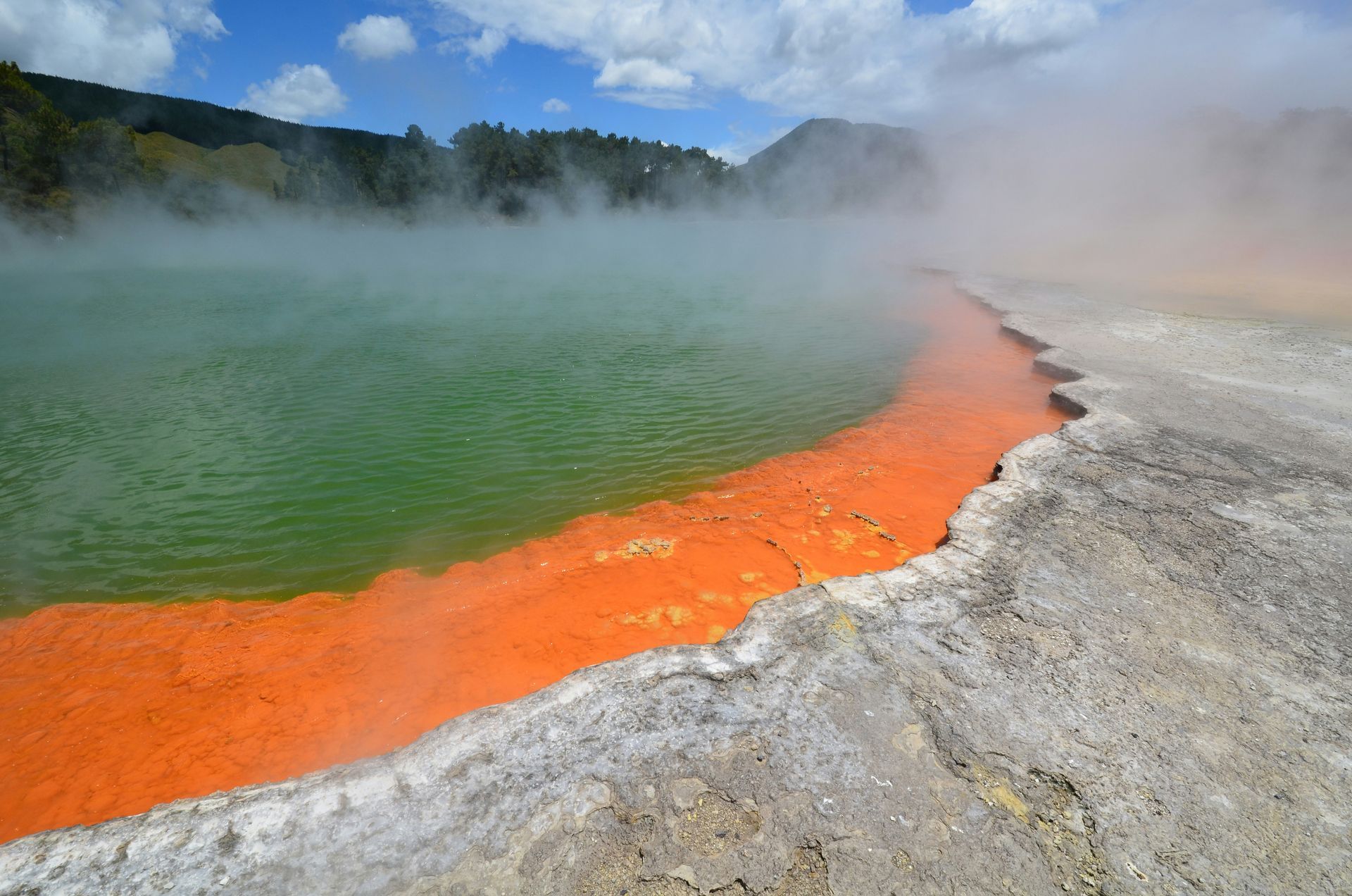 A geothermal pool with a red border at Waiotapu Thermal Wonderland in Rotorua, New Zealand.