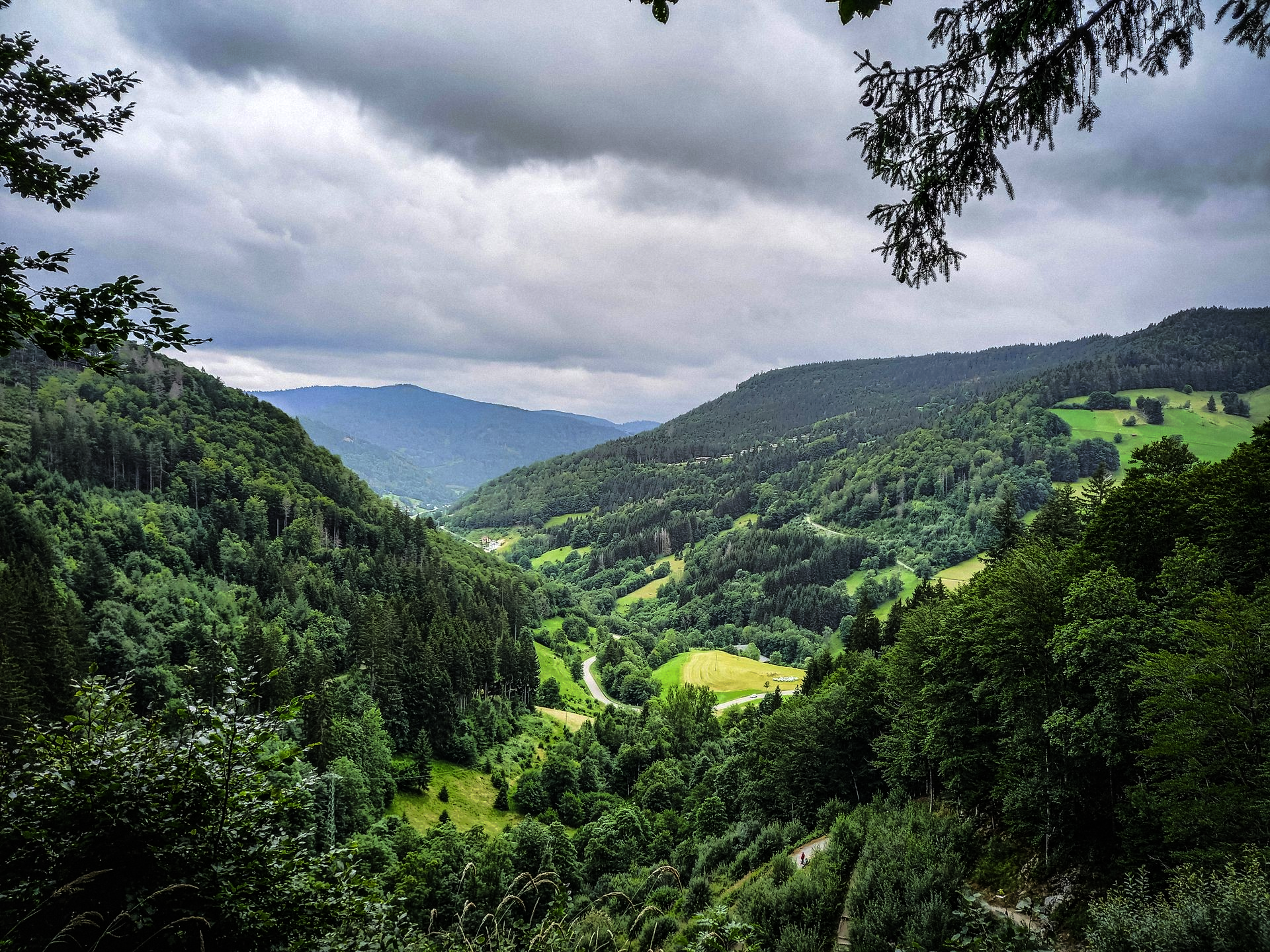 Green valley landscape under cloudy sky; winding road, lush trees in The Black Forest, Germany.