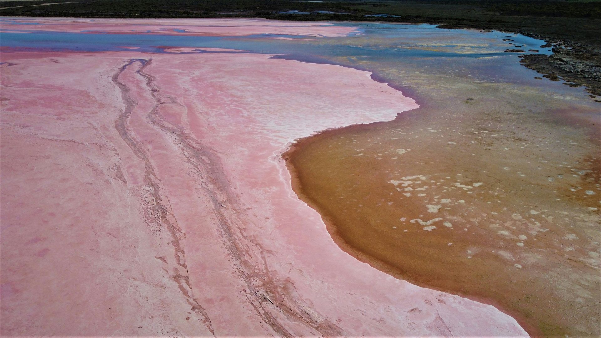 A lagoon of pink water at the Hutt Lagoon in Western Australia.