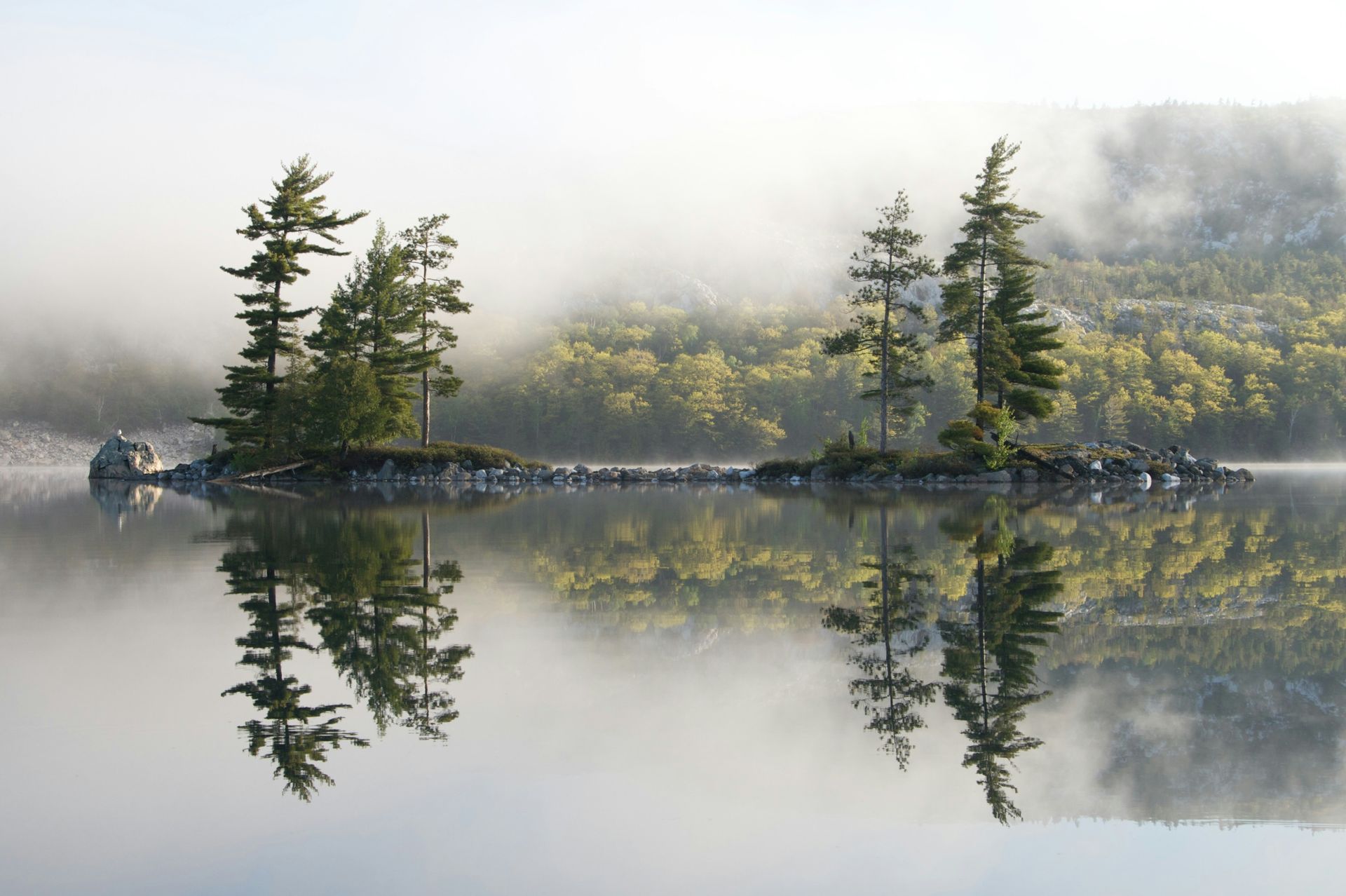 Island with trees reflects in calm water, surrounded by fog and a forested shore in Killarney, Ireland.