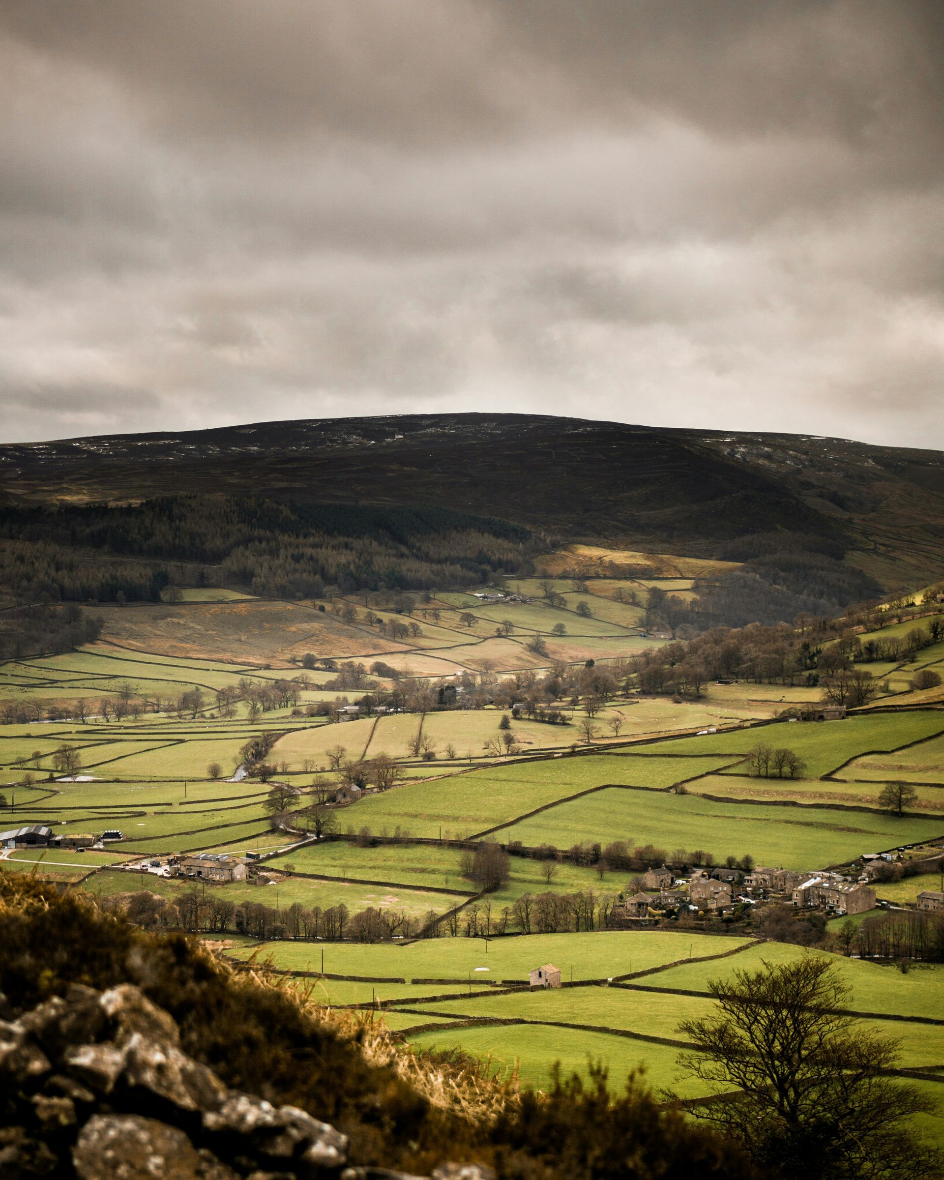 Rolling green hills and fields divided by stone walls under a cloudy sky in the Yorkshire Dales, England.